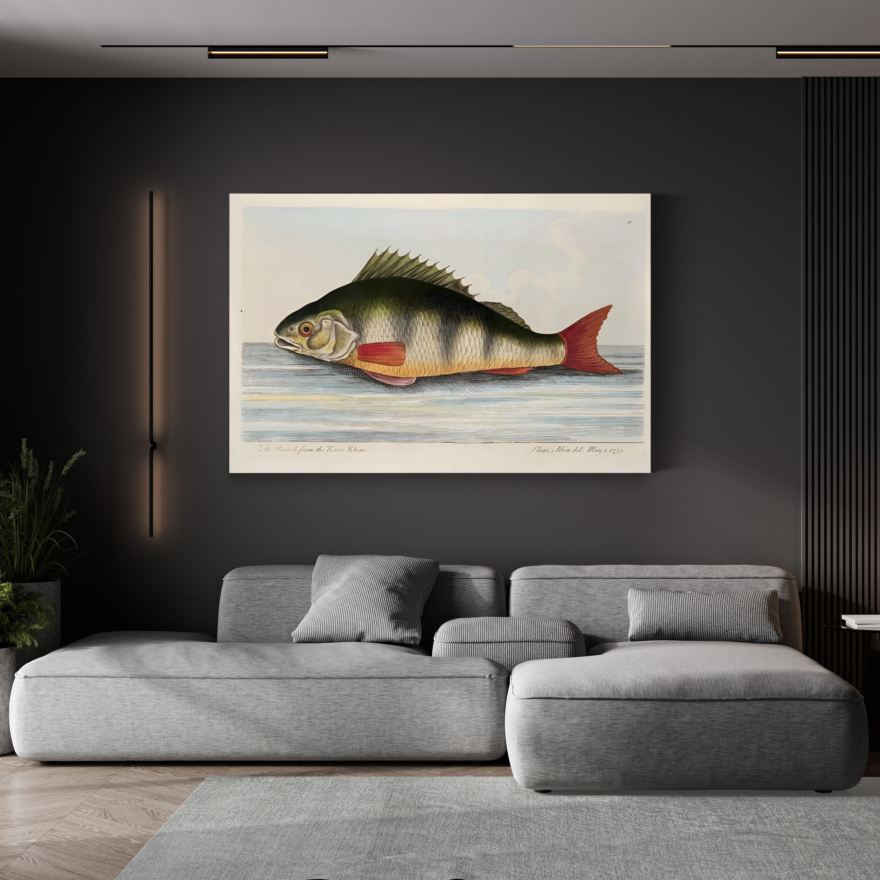 The Perch from the River Rhine, by Eleazar Albin canvas print in Gallery Canvas, displayed in a room