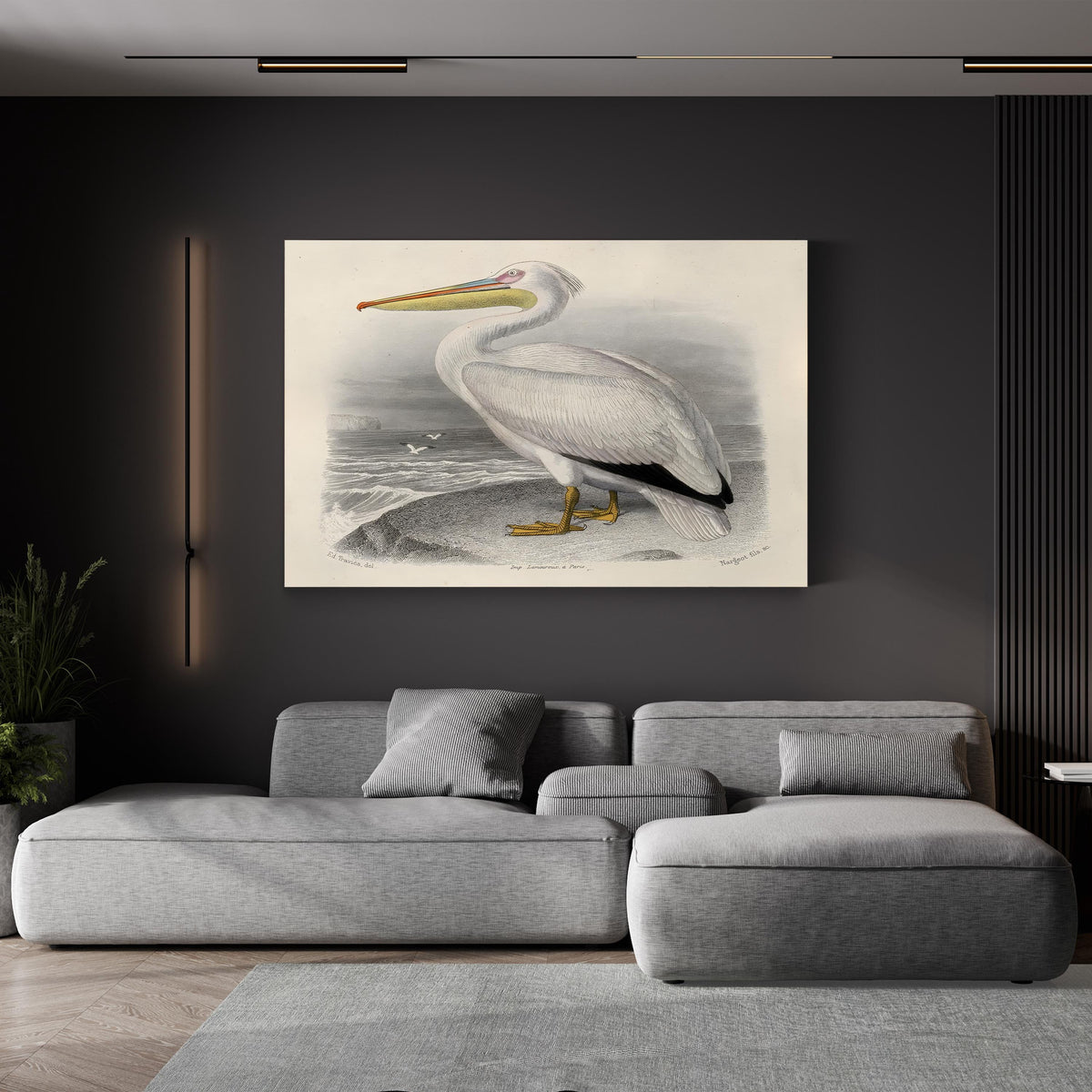 White Pelican, by Édouard Traviès canvas print displayed in a living room