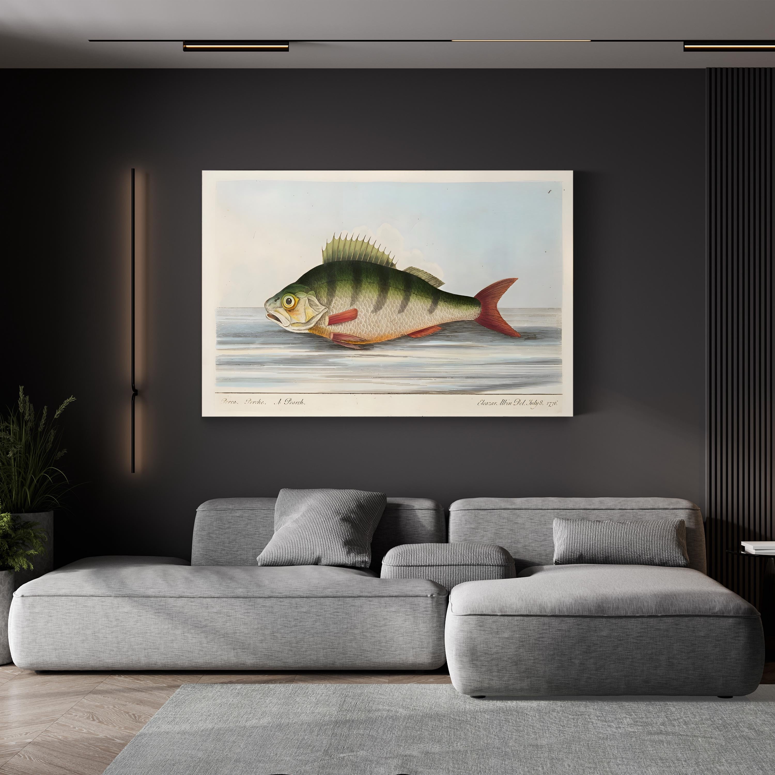 The Perch, 1832 | Antique Natural History Fish Engraving Wall Art by Eleazar Albin