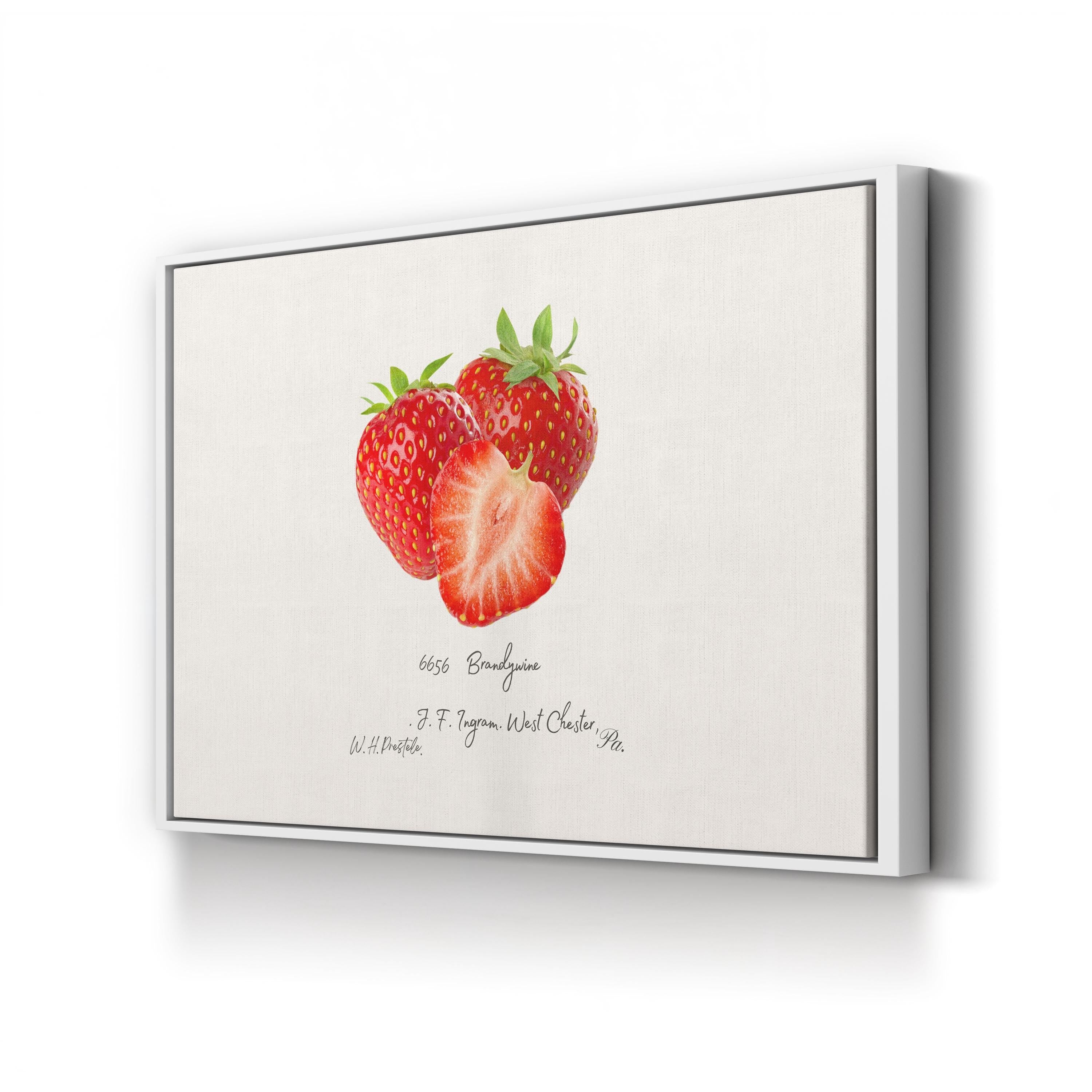 Strawberry Kitchen Wall Art – Vintage Botanical Fruit Illustration Canvas Print