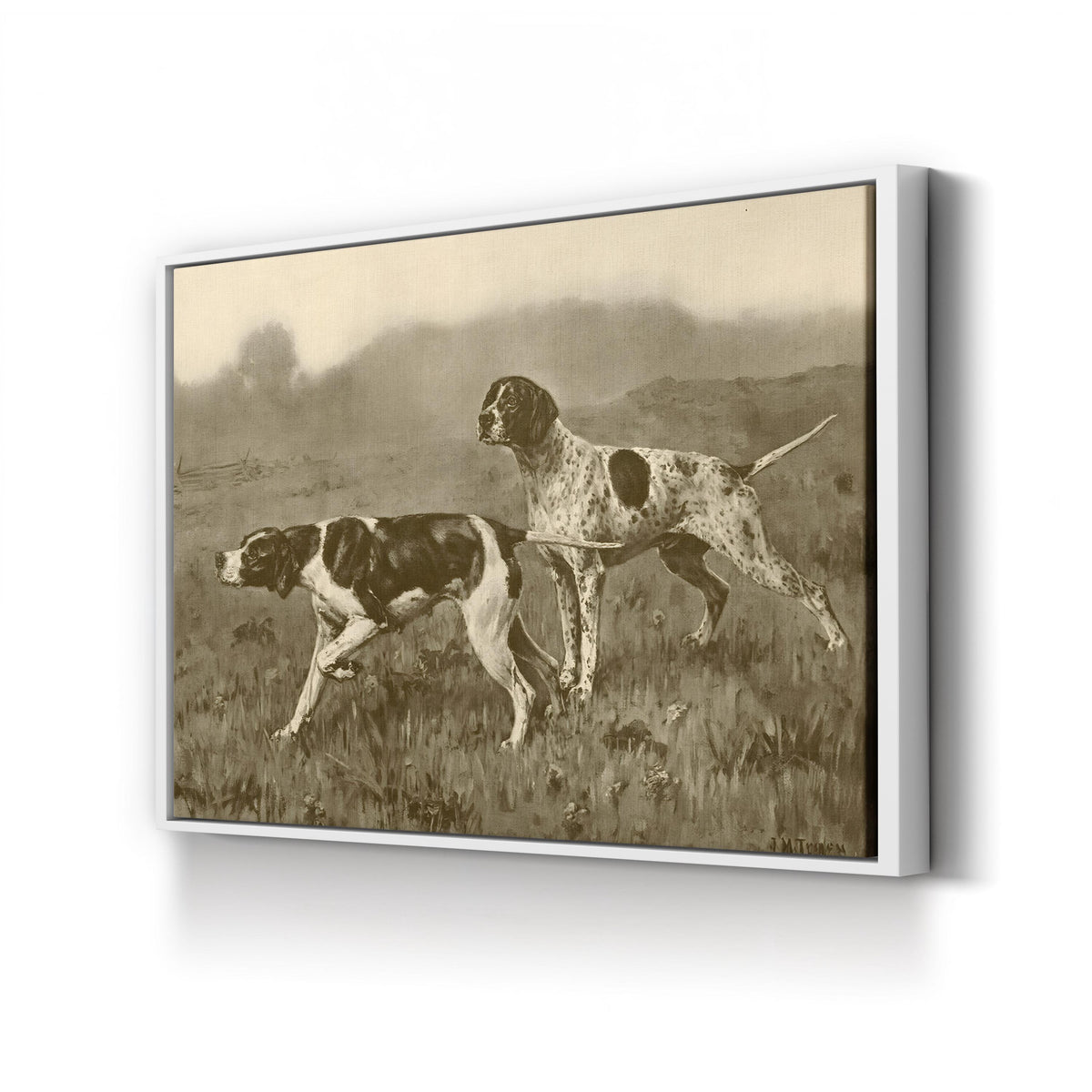 Double Point, by John Martin Tracy canvas print in white frame
