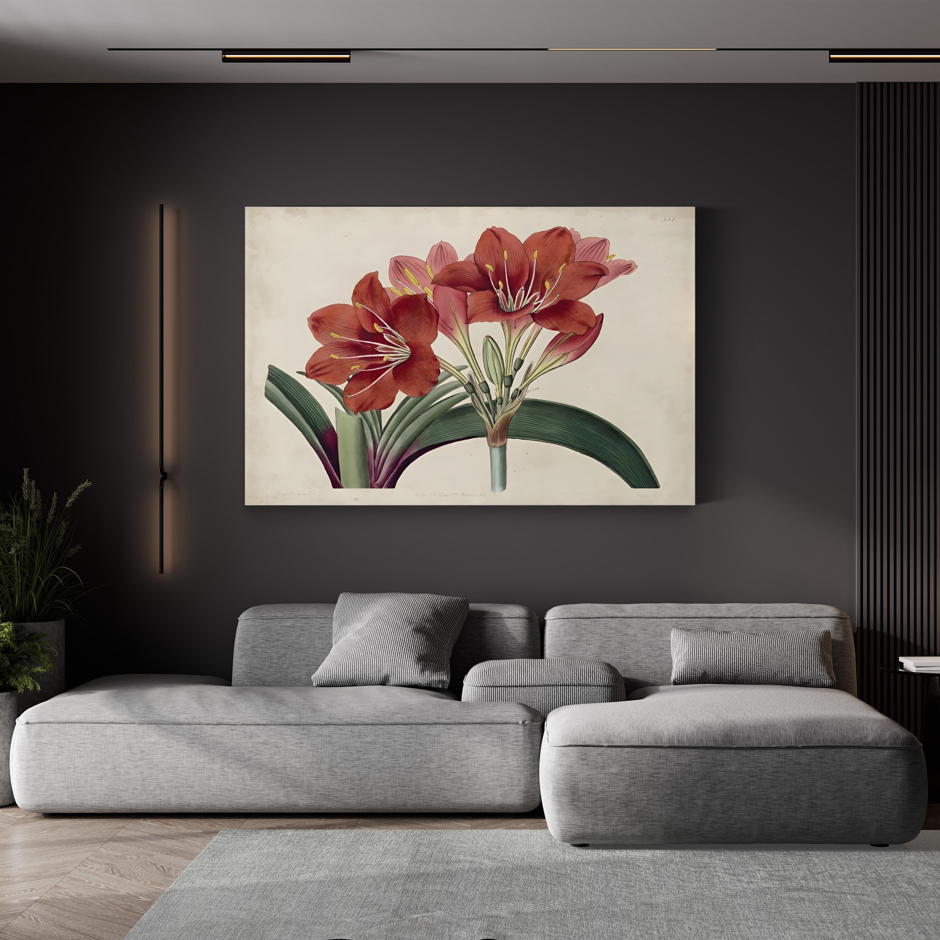 Vintage Red Amaryllis canvas print, gallery wrap 1.5-inch