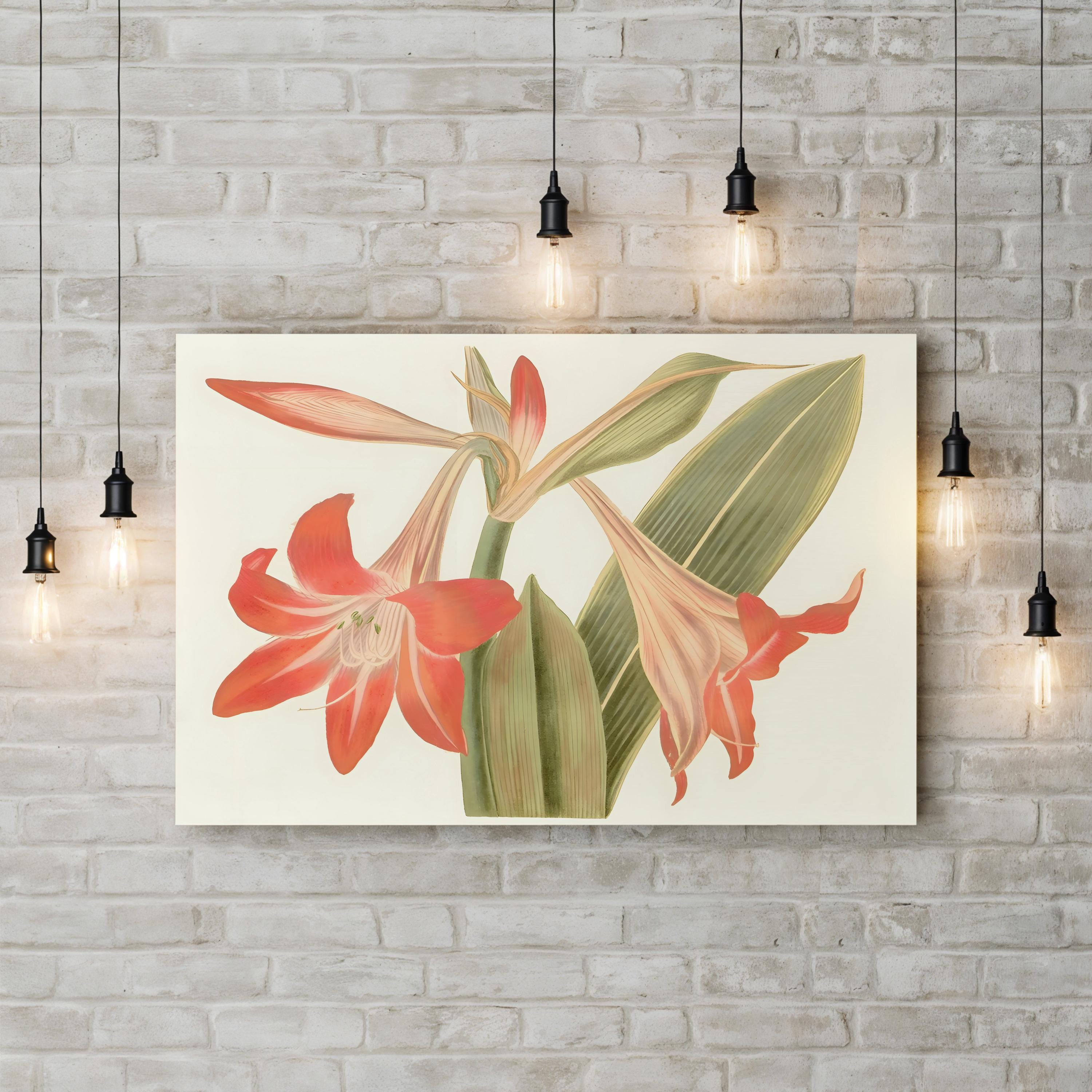Antique Amaryllis IV Wall Art by Curtis Art – Vintage Botanical Illustration Print