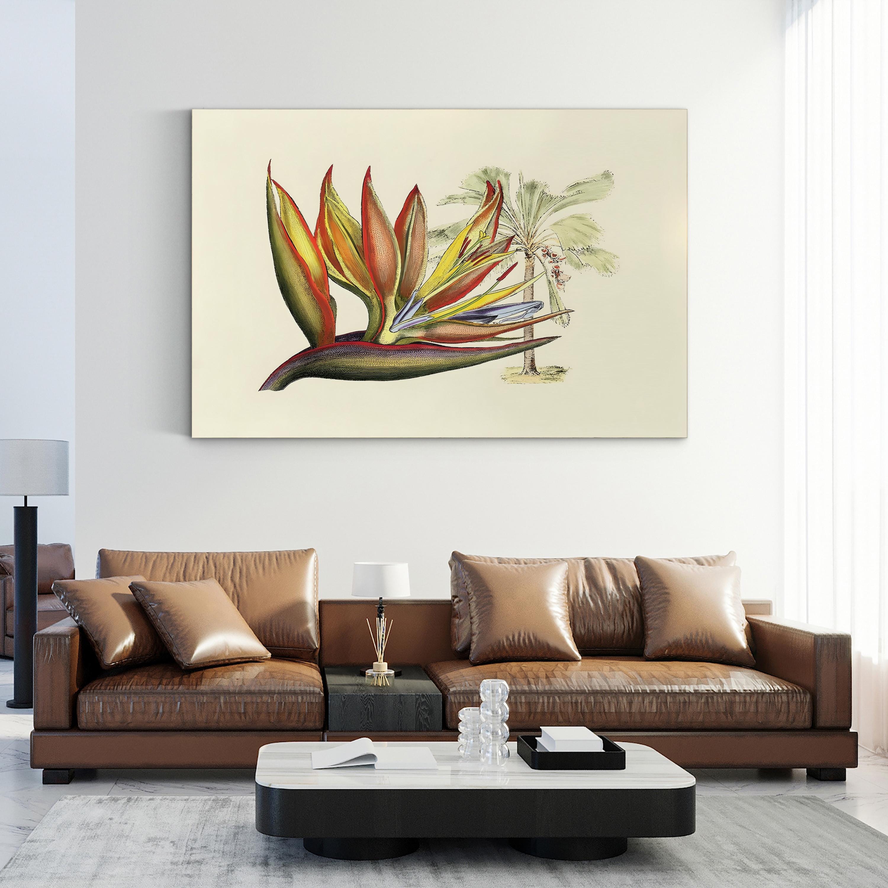 Vintage Bird of Paradise Print: Tropical Botanical Illustration