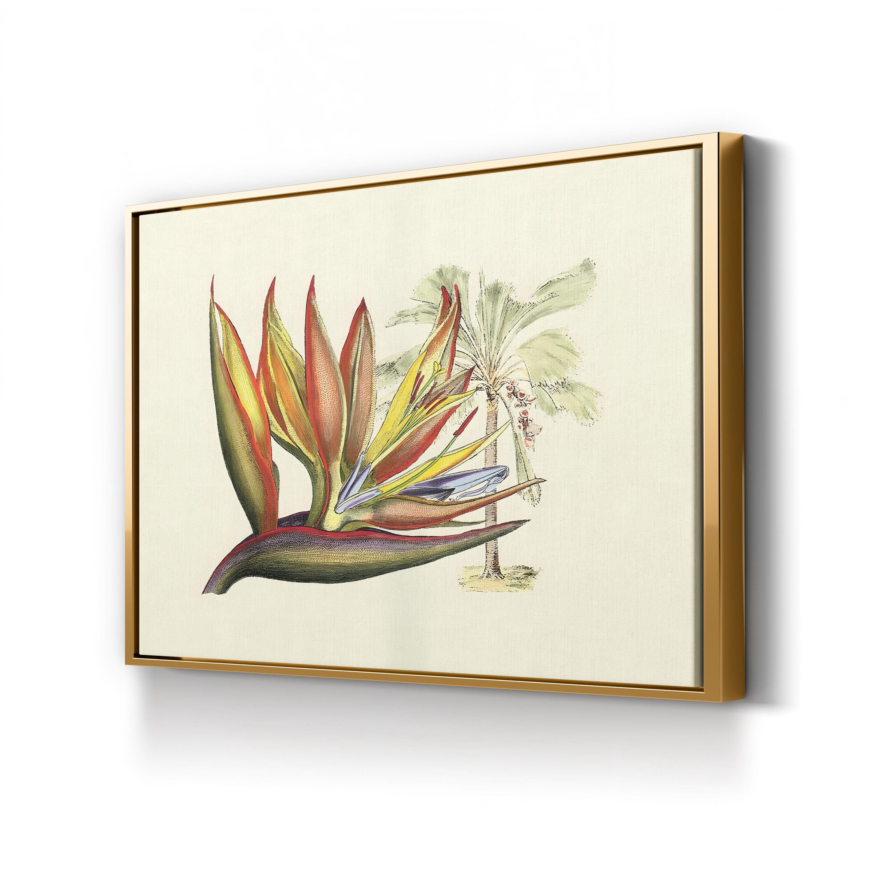 Vintage Bird of Paradise Print: Tropical Botanical Illustration