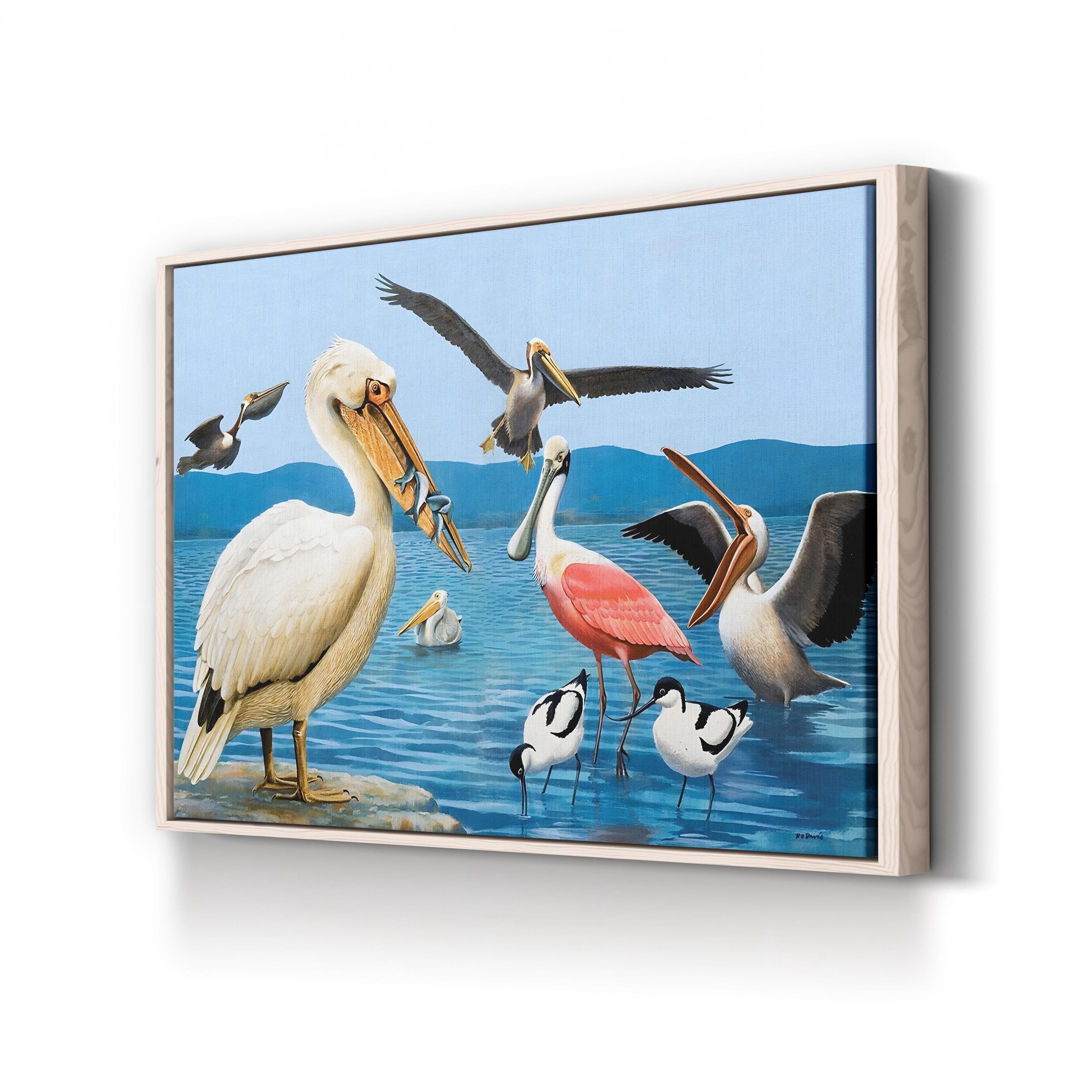Birds with Strange Beaks Wall Art by Richard Barrett Davis – Coastal Bird Illustration, 1972