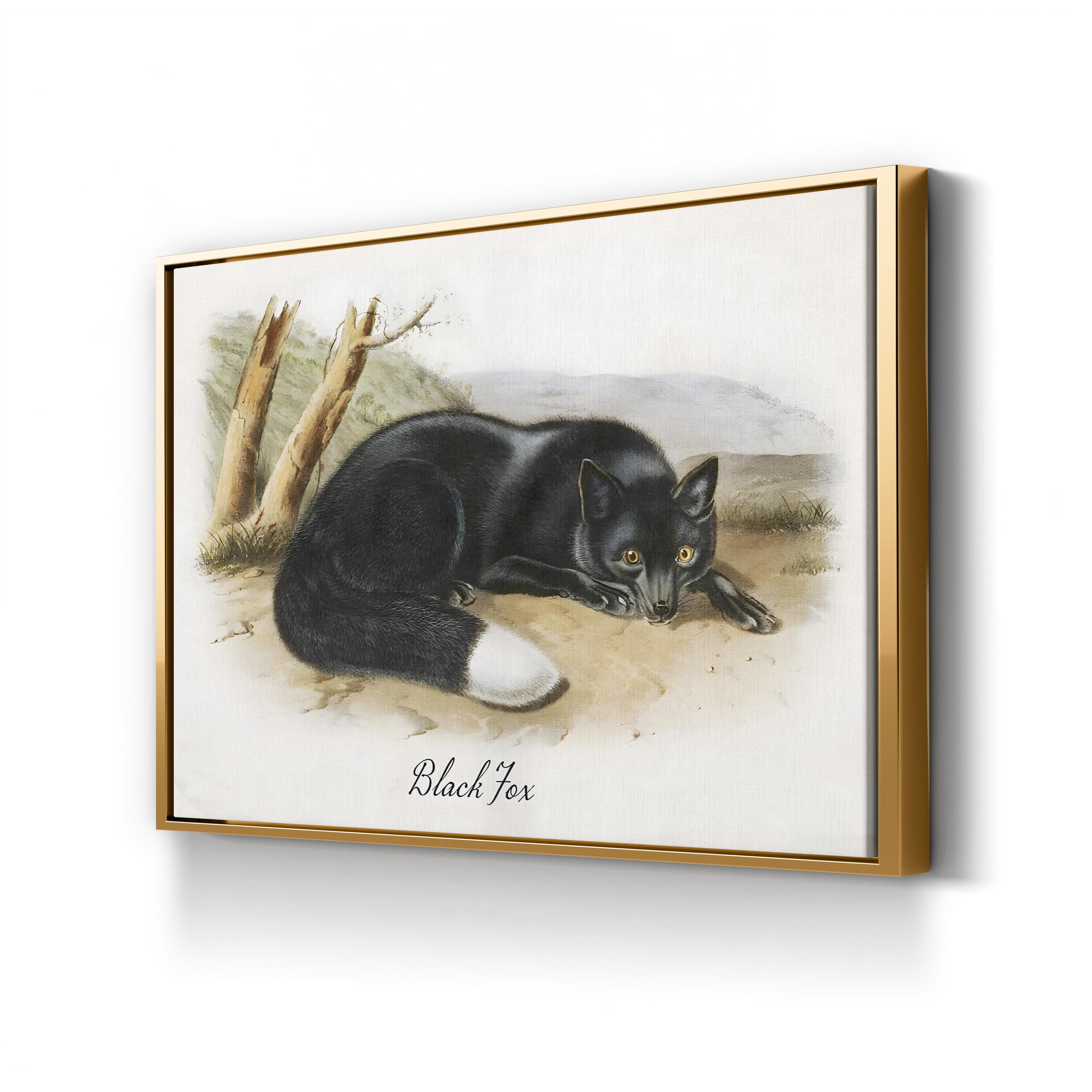 Vintage Wildlife Study Black Fox Illustration by Vintage Apple Collection