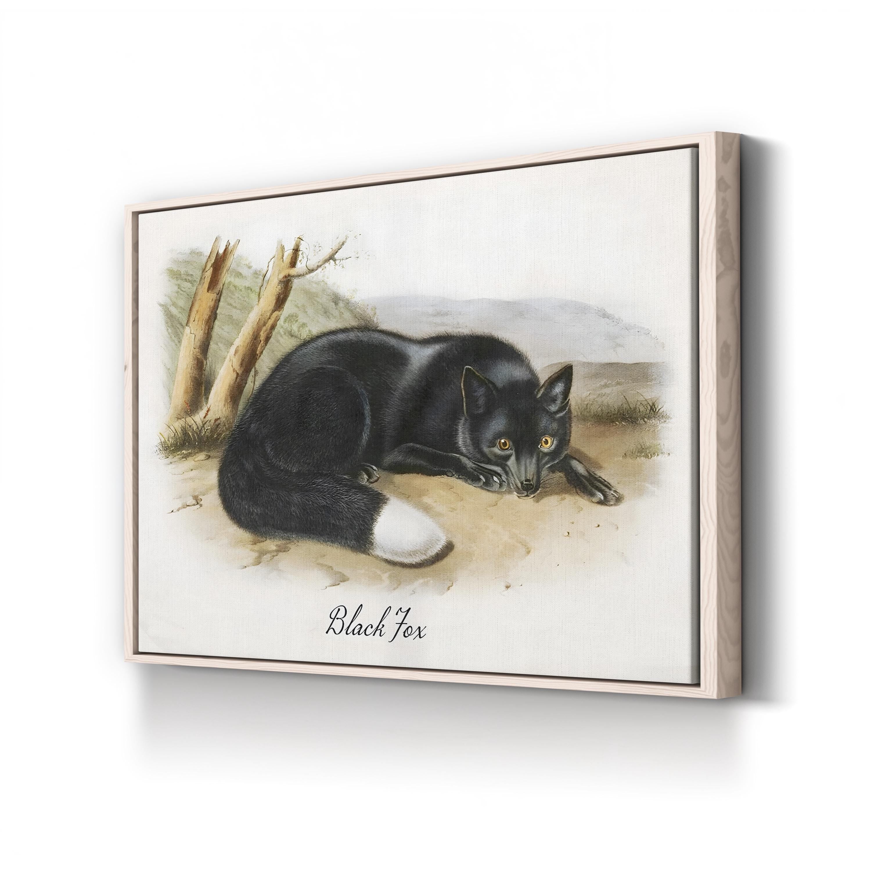 Vintage Wildlife Study Black Fox Illustration by Vintage Apple Collection