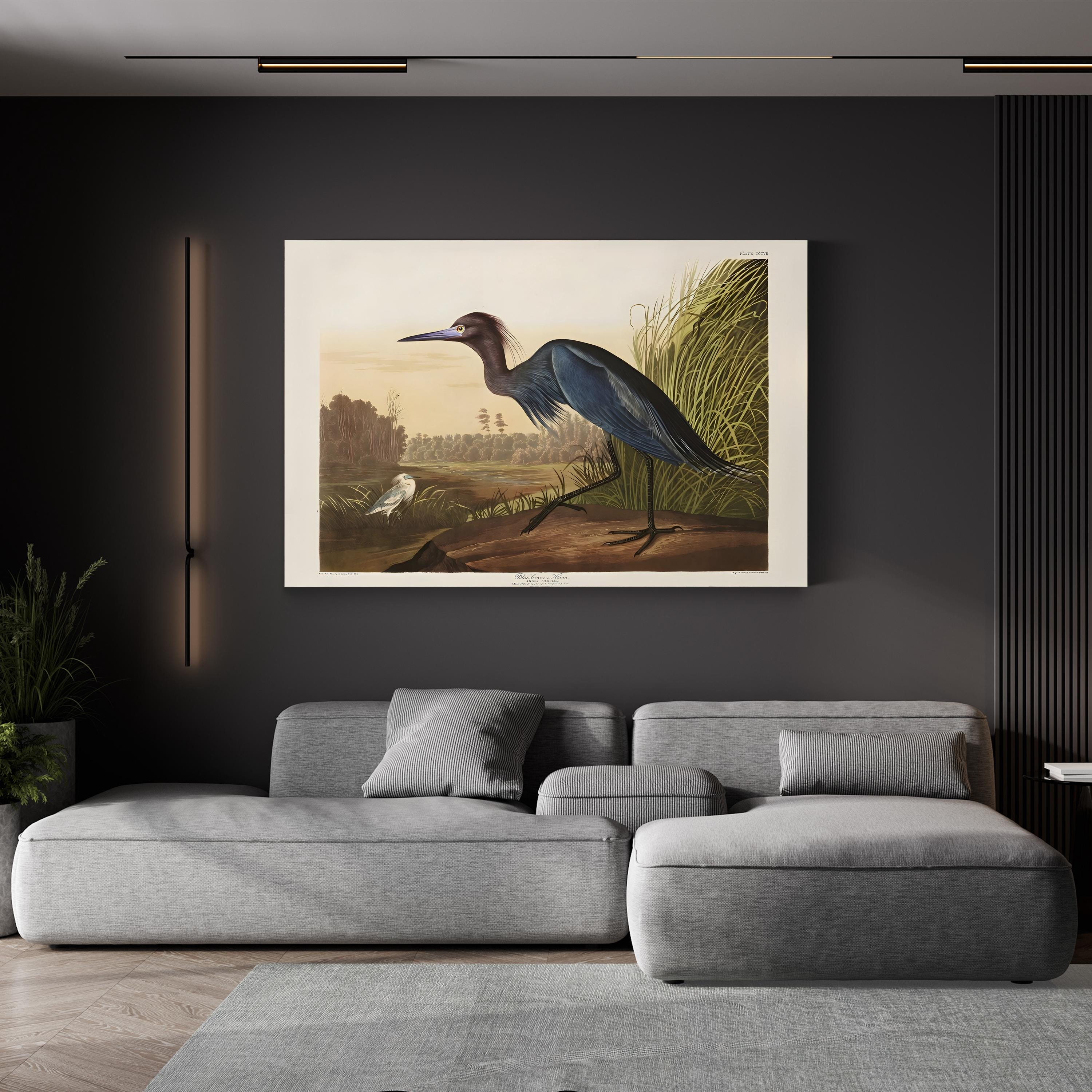 Blue Crane Heron – Period Illustration Wall Art | 19th-Century Bird Canvas Print