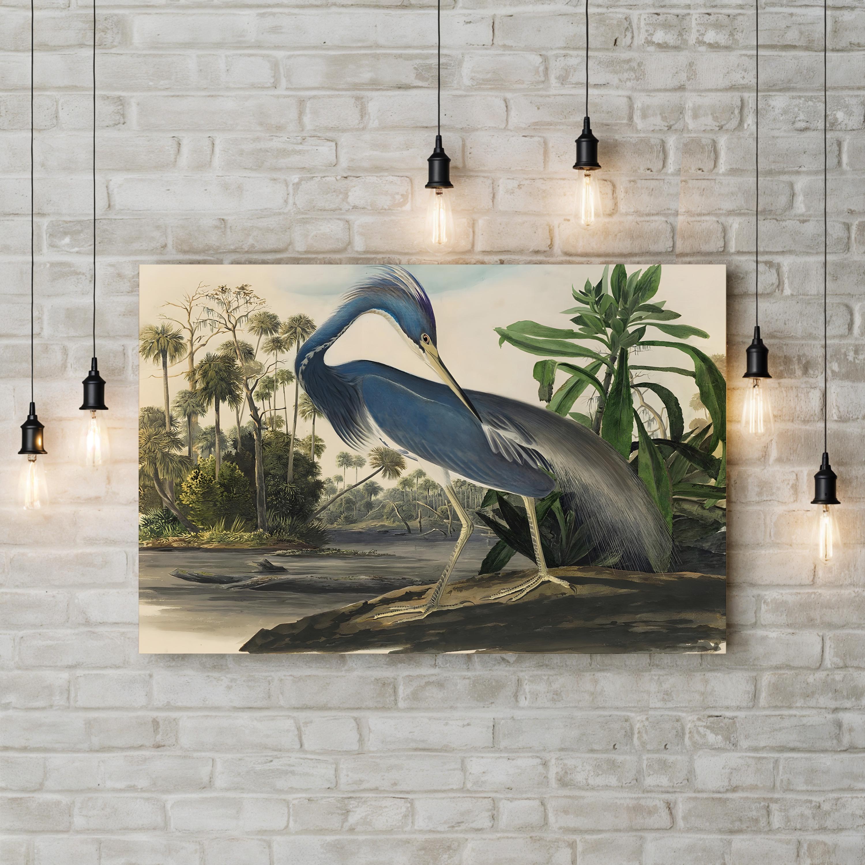 Blue Heron Wall Art | Vintage Scientific Illustration by Vintage Apple Collection