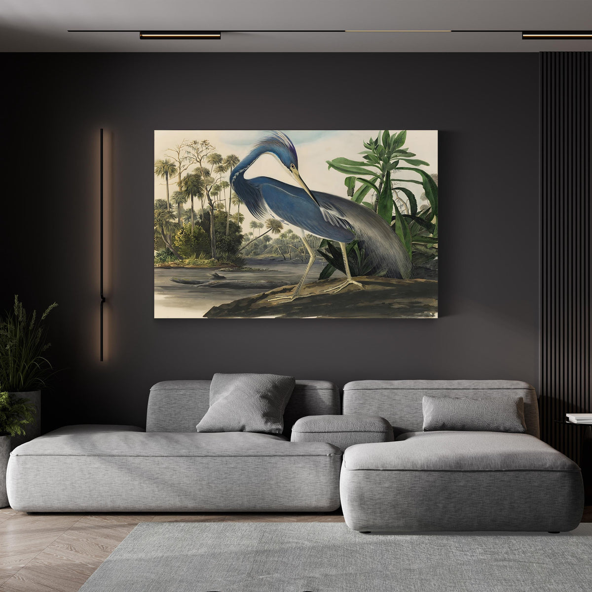 Louisiana Heron, c. 1832 by John James Audubon canvas print displayed in a living room