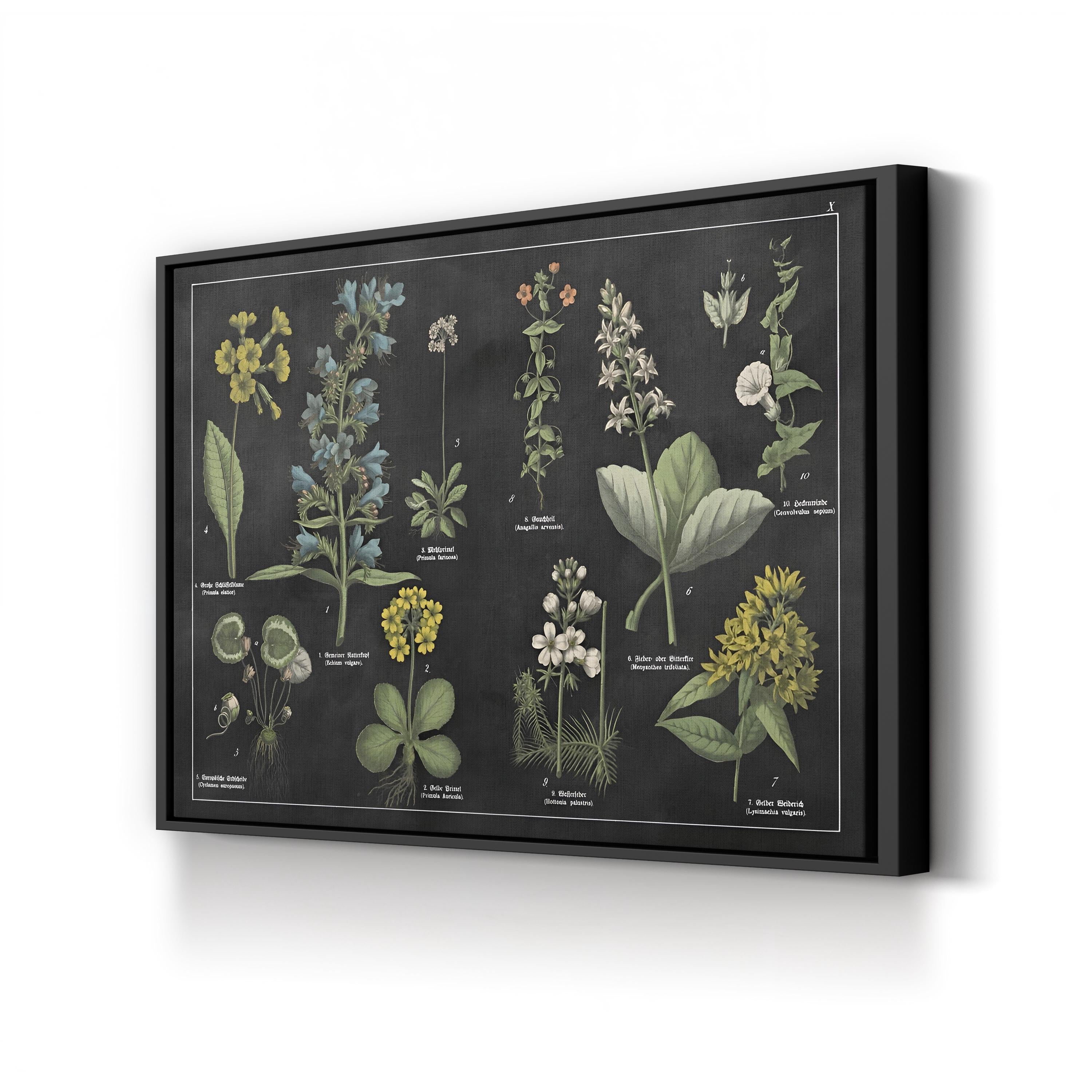 Botanical Floral Chart I Black and White Wall Art by Wild Apple Portfolio