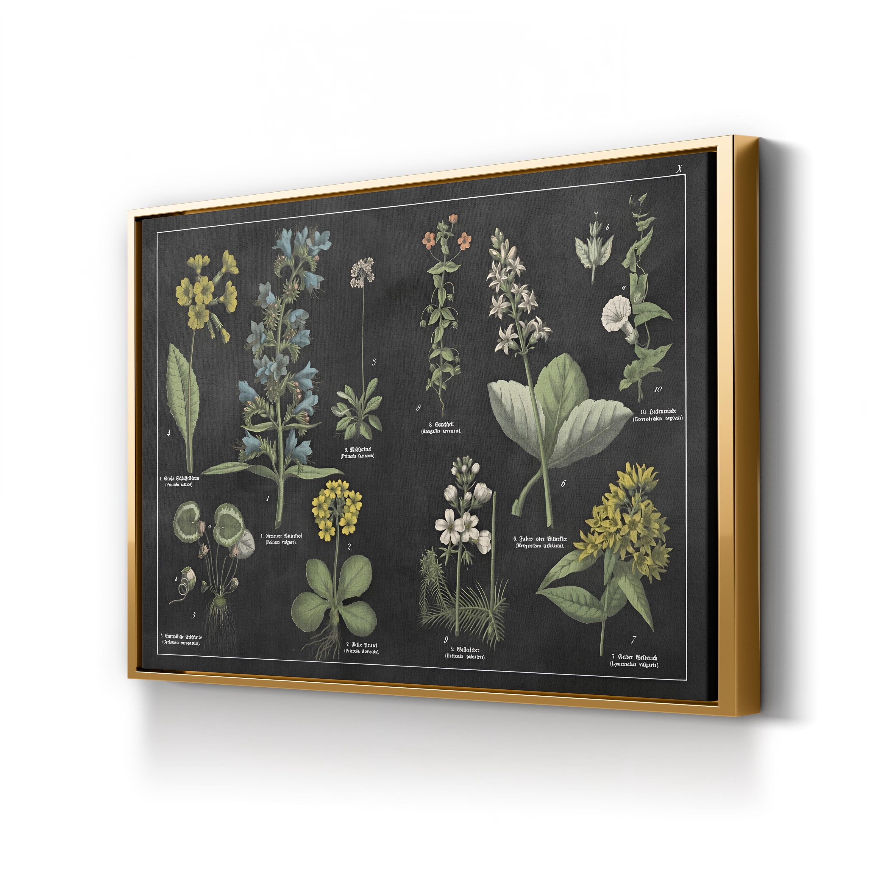 Botanical Floral Chart I Black and White Wall Art by Wild Apple Portfolio