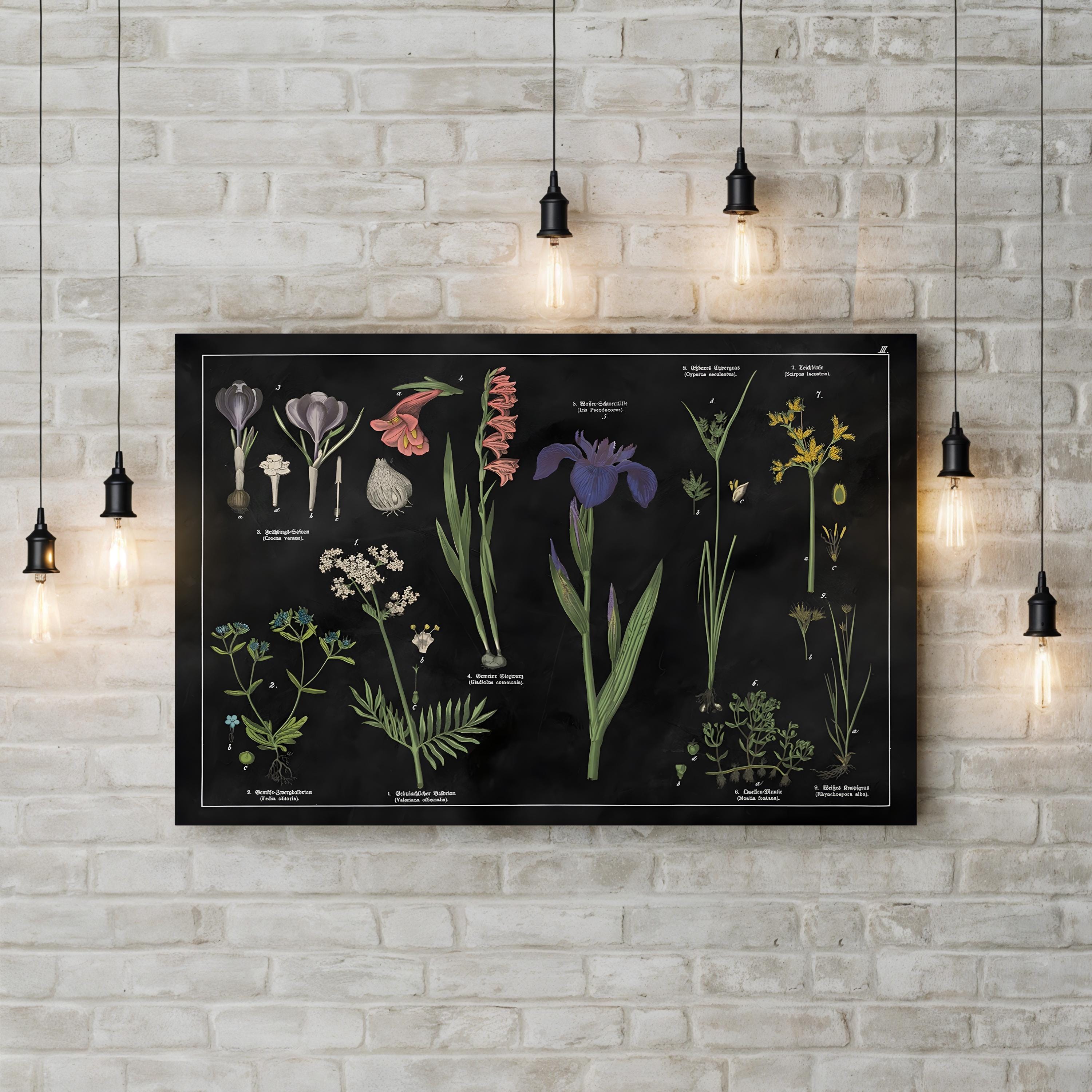 Vintage Botanical Print: Black & White Floral Chart, Natural History Canvas