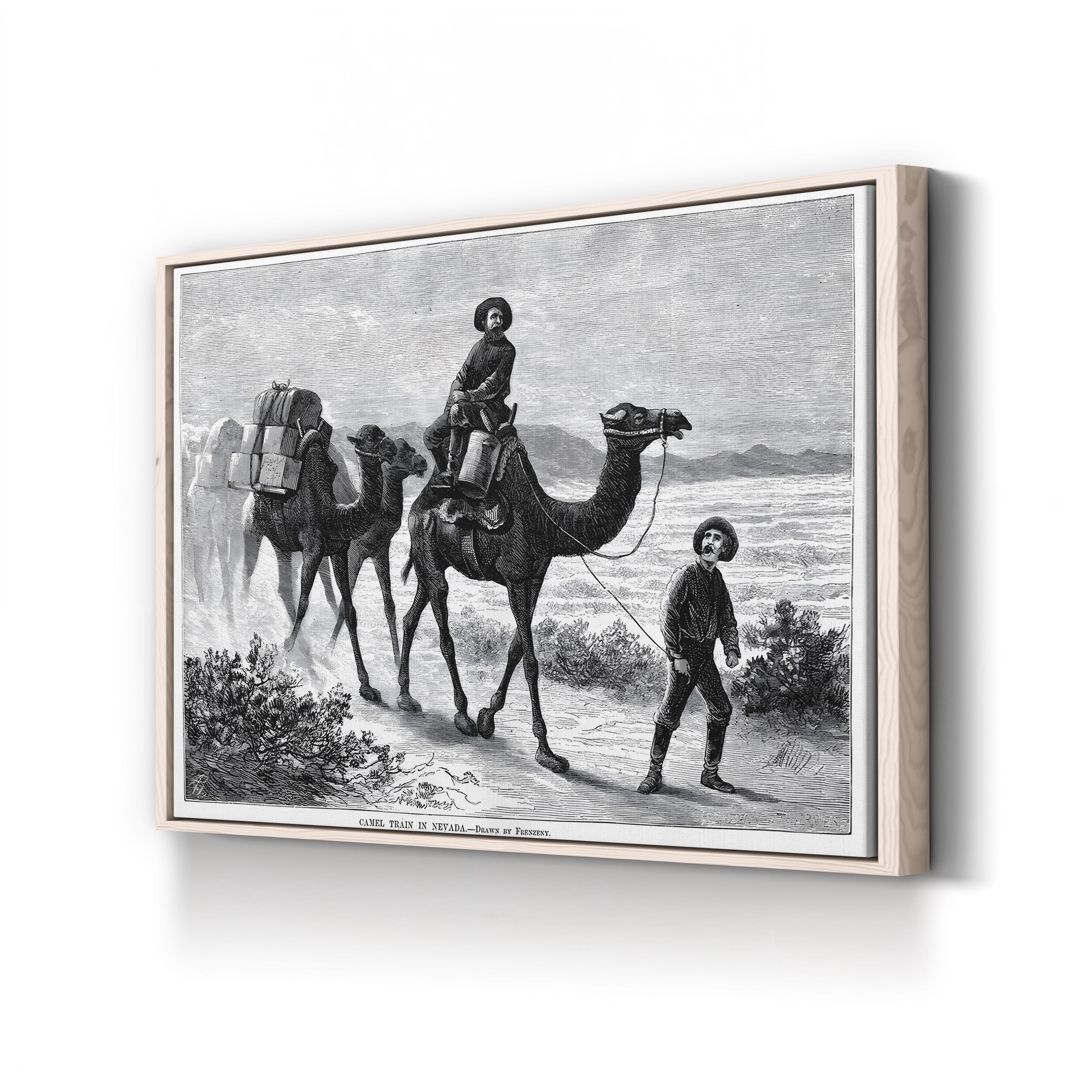 1877 American West Camel Caravan in the Nevada Desert