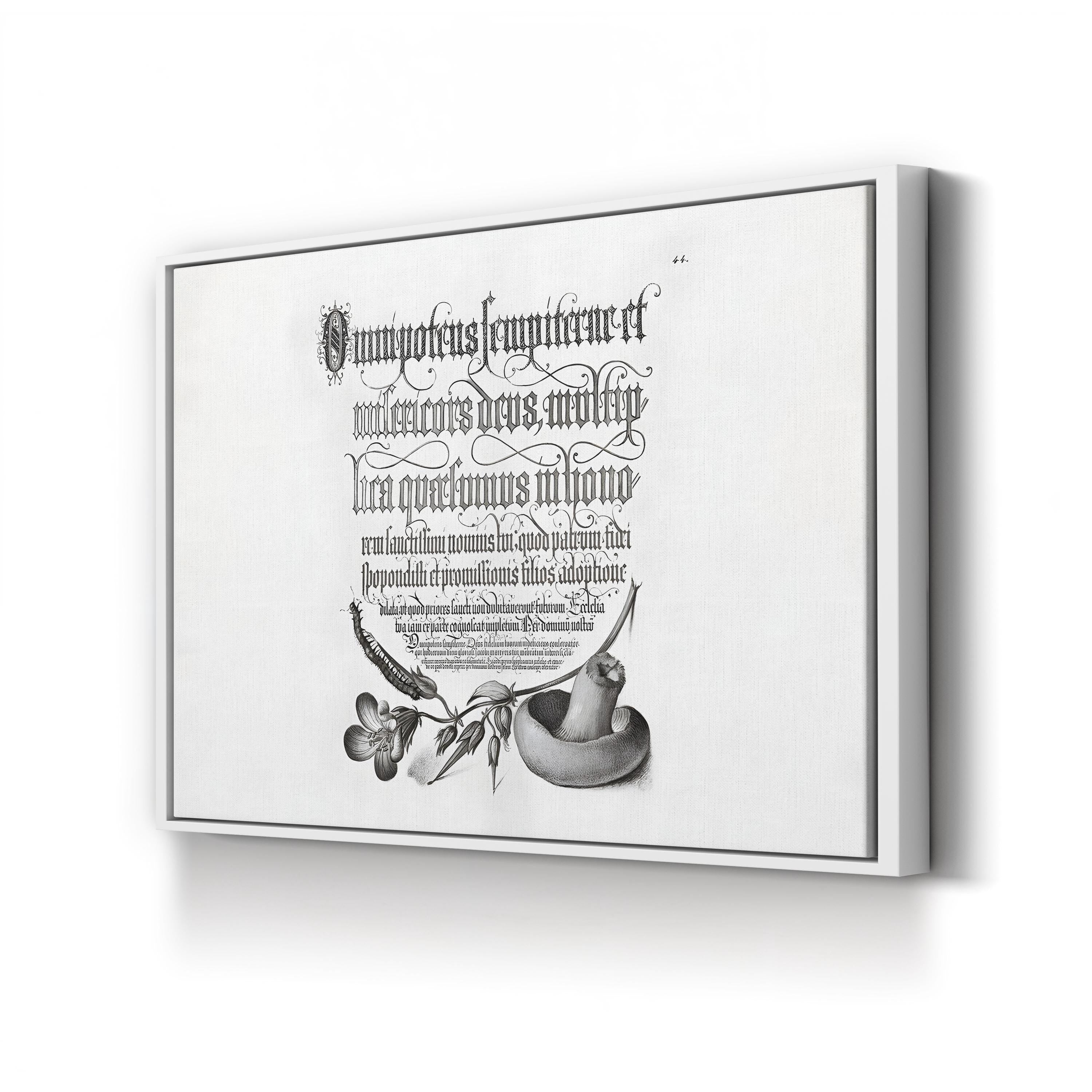 Centipede, Wood Cranesbill & Mushroom by Joris Hoefnagel & Georg Bocskay canvas print in White Framed Canvas