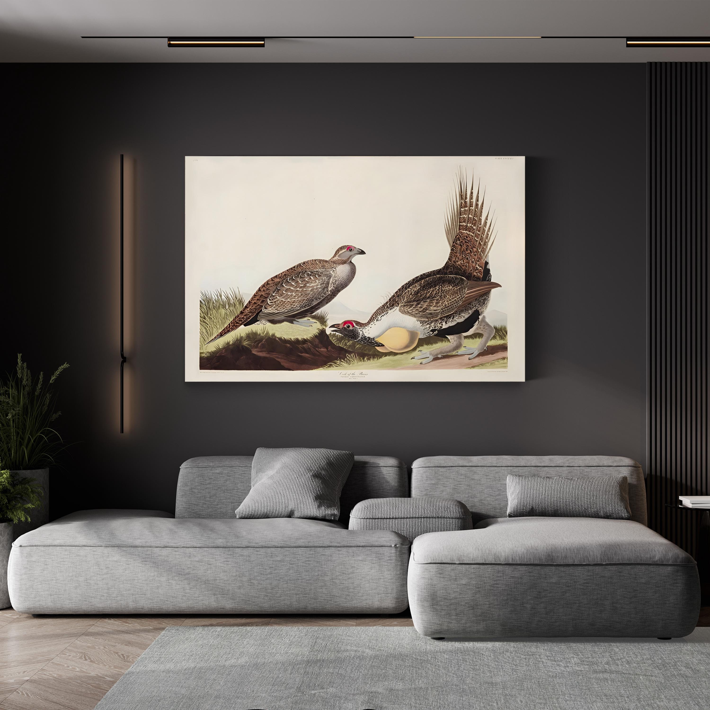 Vintage Plains Bird – Period Illustration Wall Art | 19th-Century Wildlife Canvas Print