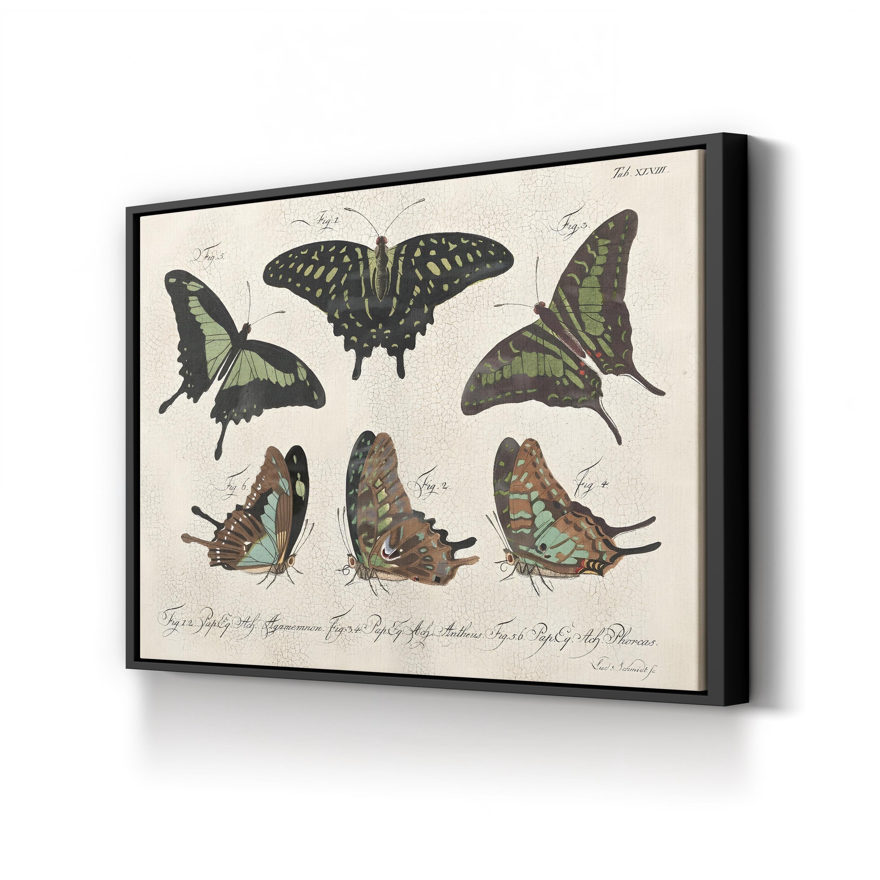 Cracked Botanical Vintage Butterflies II Wall Art