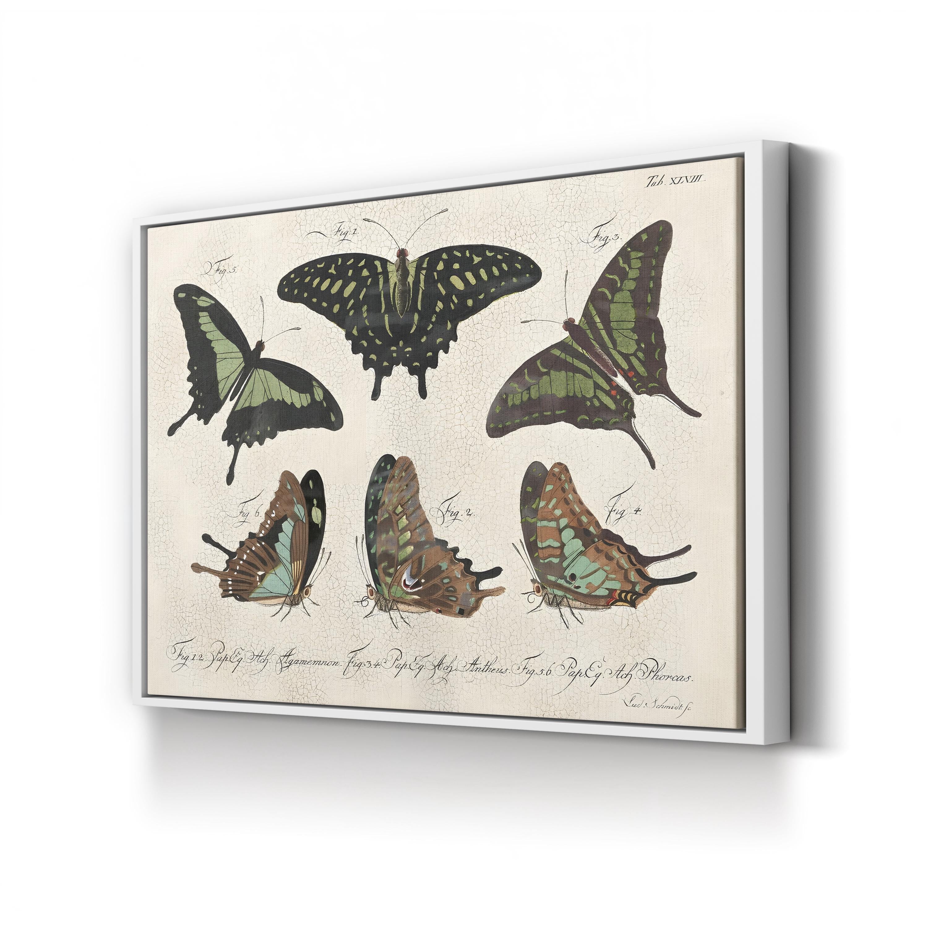 Cracked Botanical Vintage Butterflies II Wall Art