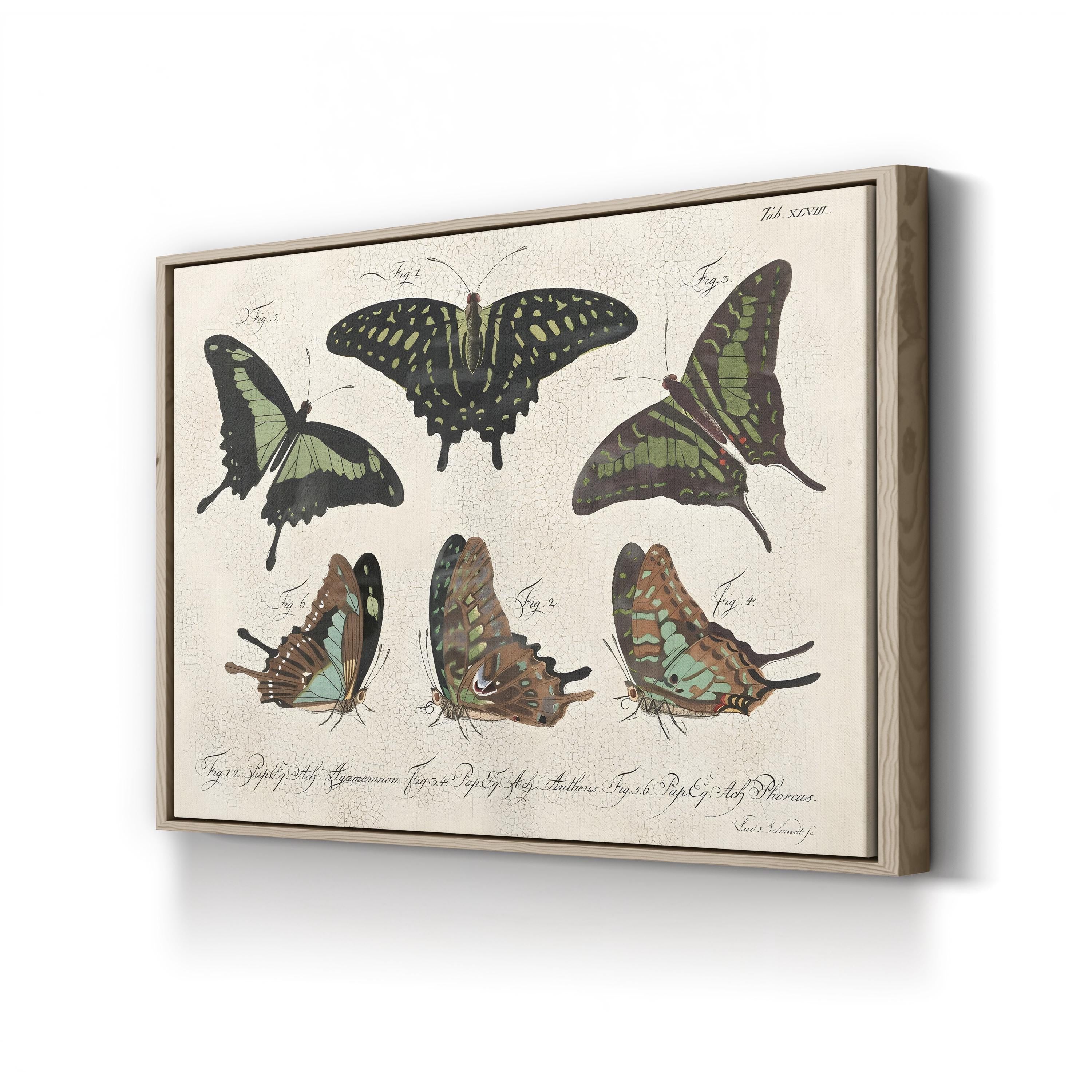 Cracked Botanical Vintage Butterflies II Wall Art