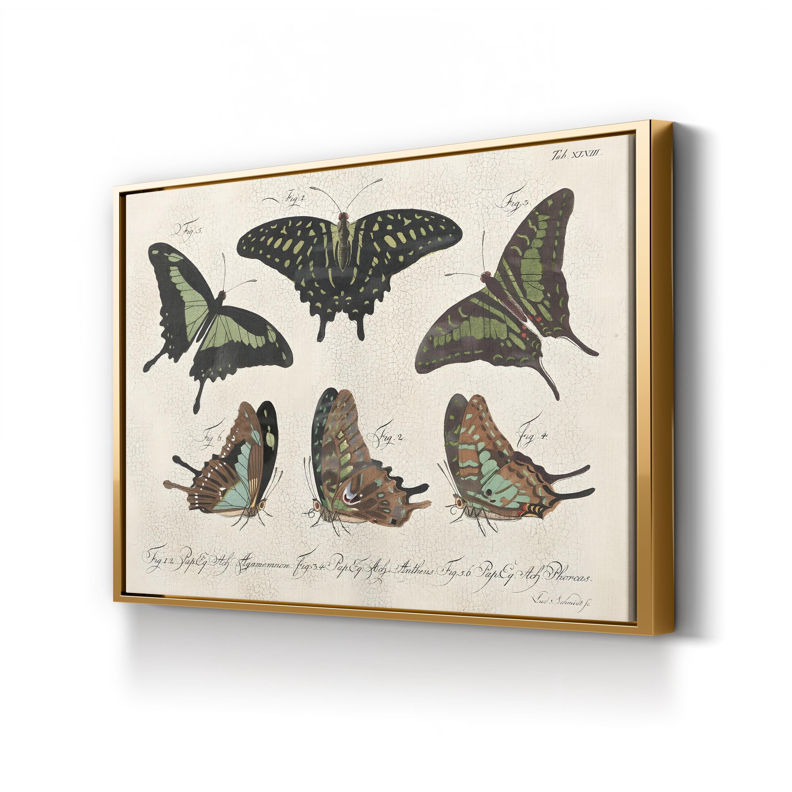 Cracked Botanical Vintage Butterflies II Wall Art