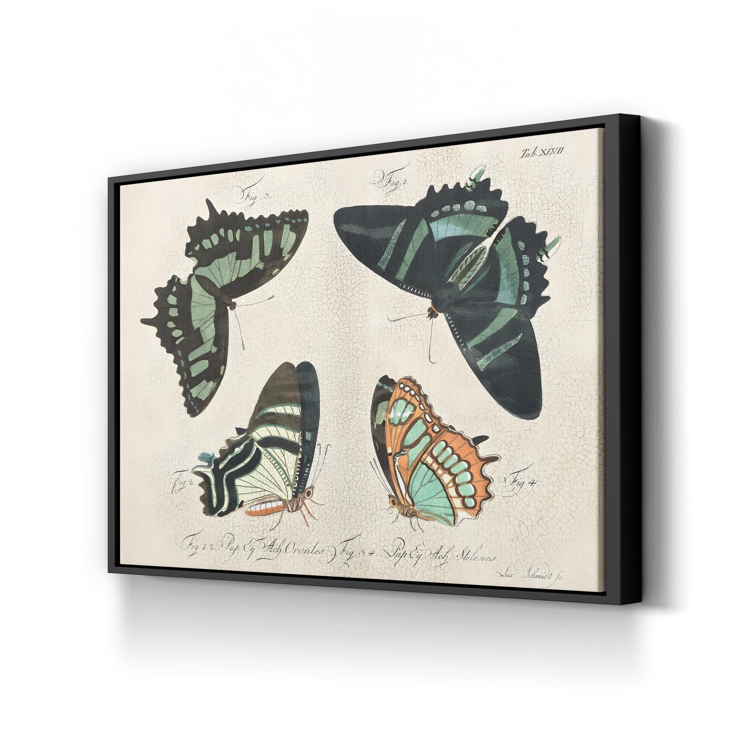 Crackled Butterflies III Wall Art