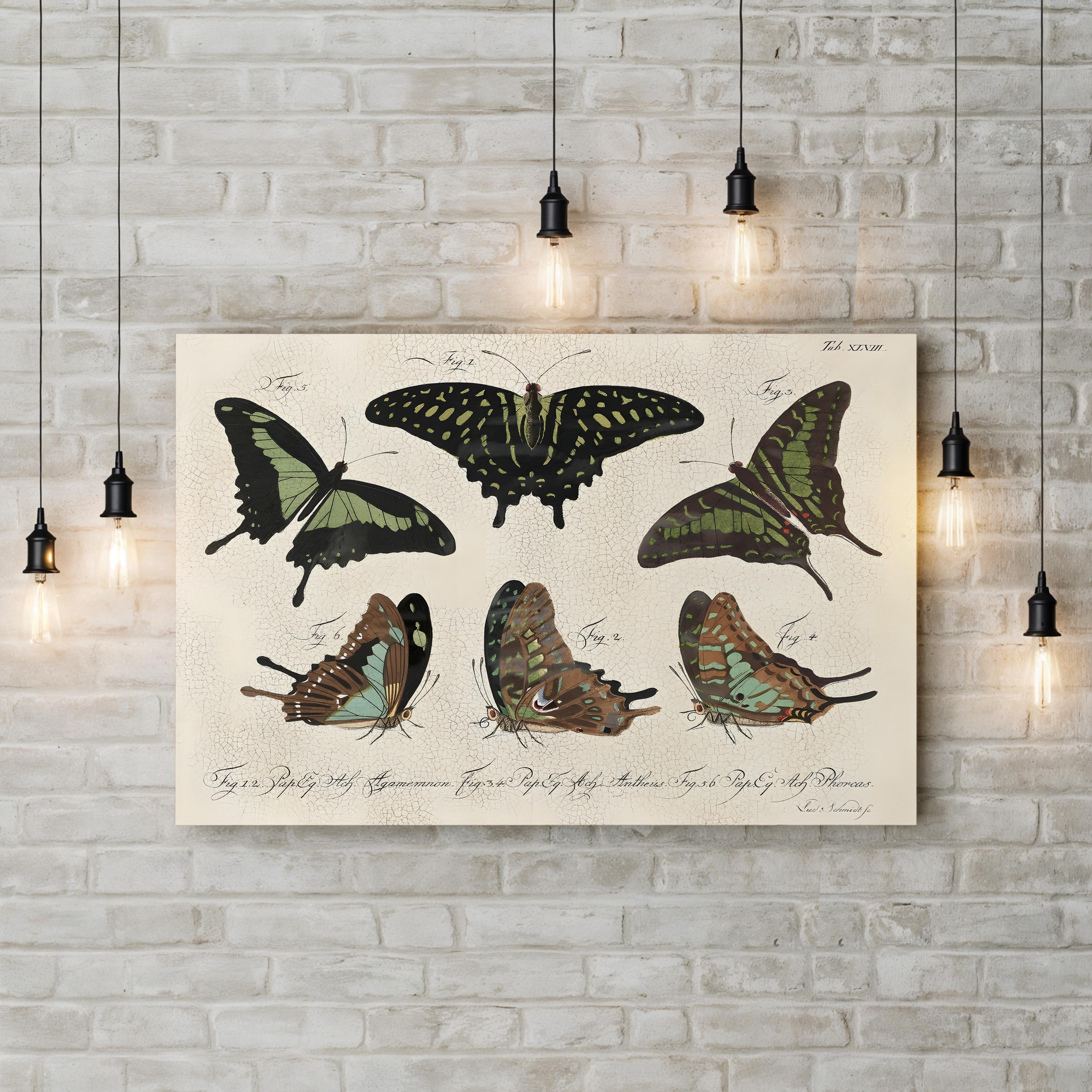 Cracked Botanical Vintage Butterflies II Wall Art