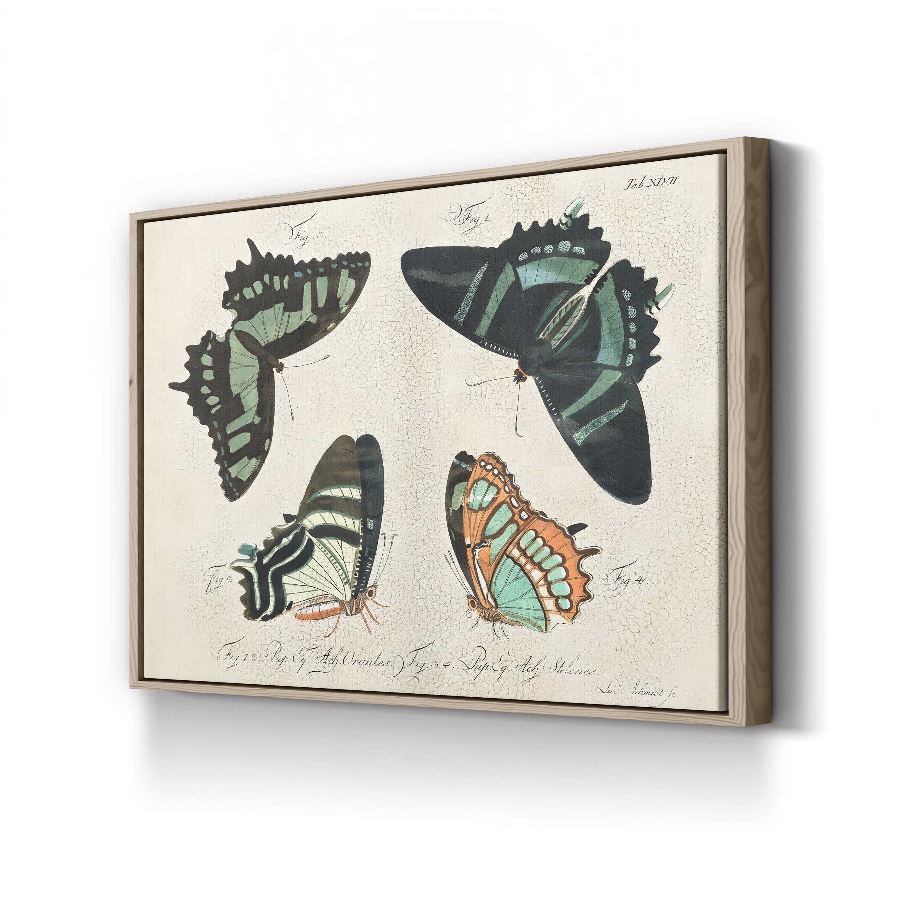 Crackled Butterflies III Wall Art