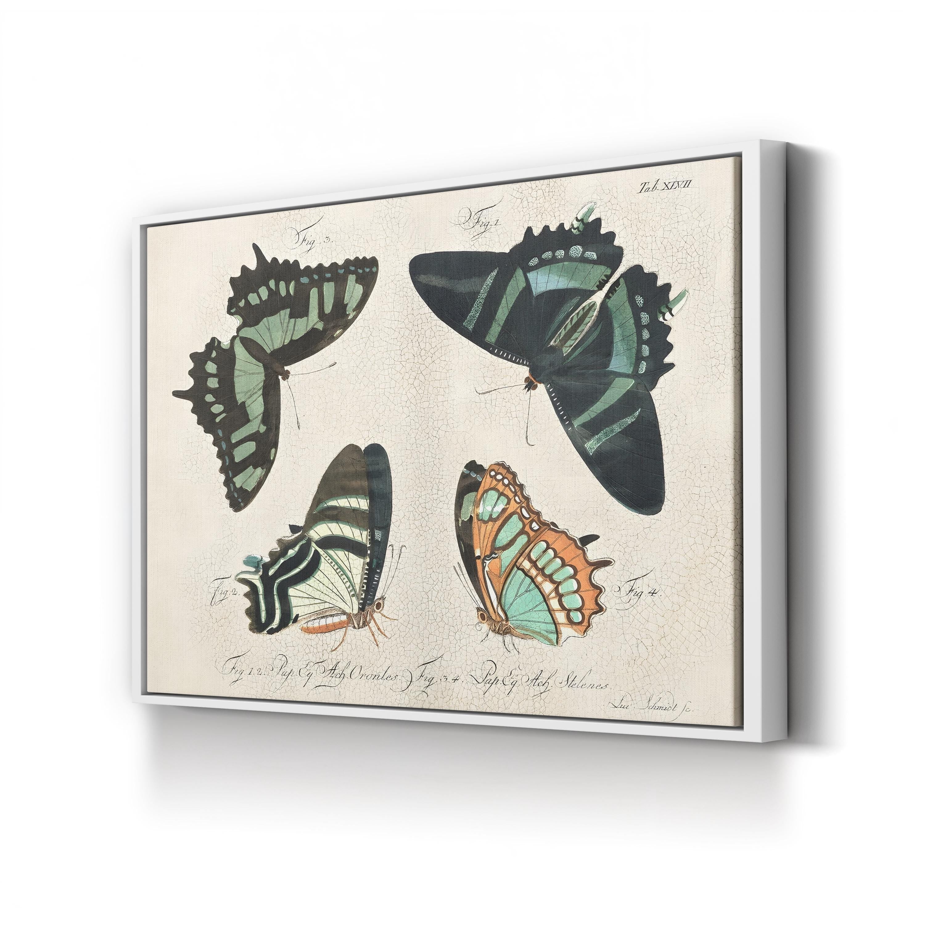 Crackled Butterflies III Wall Art