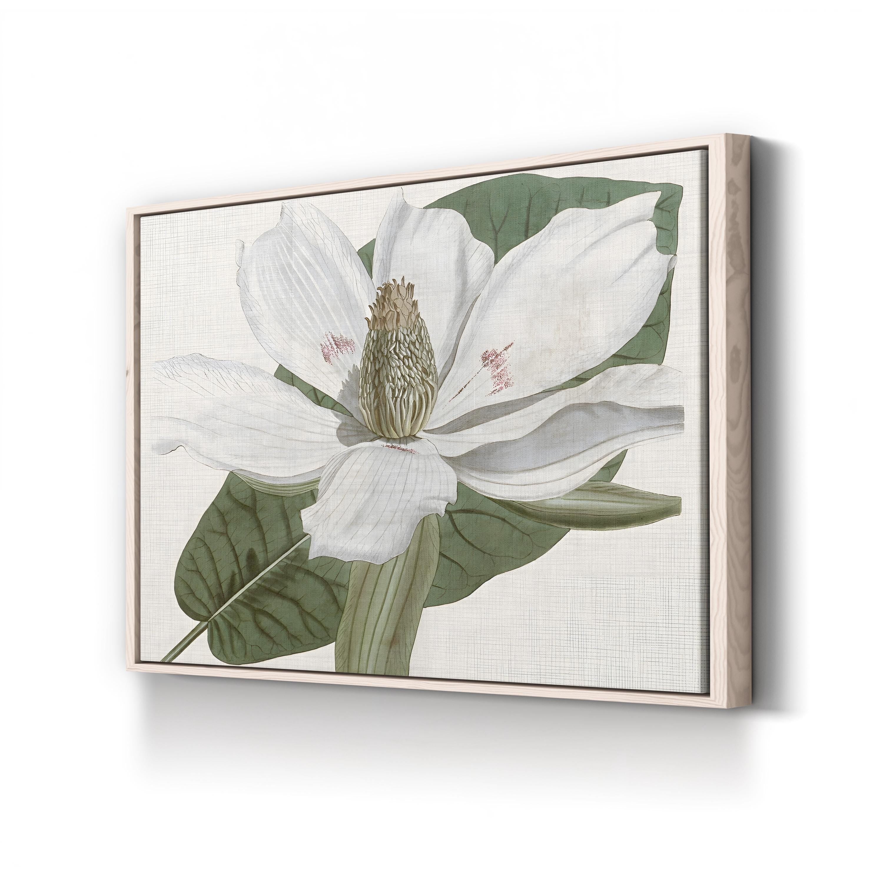 Curtis Magnolia II Wall Art by Curtis Art