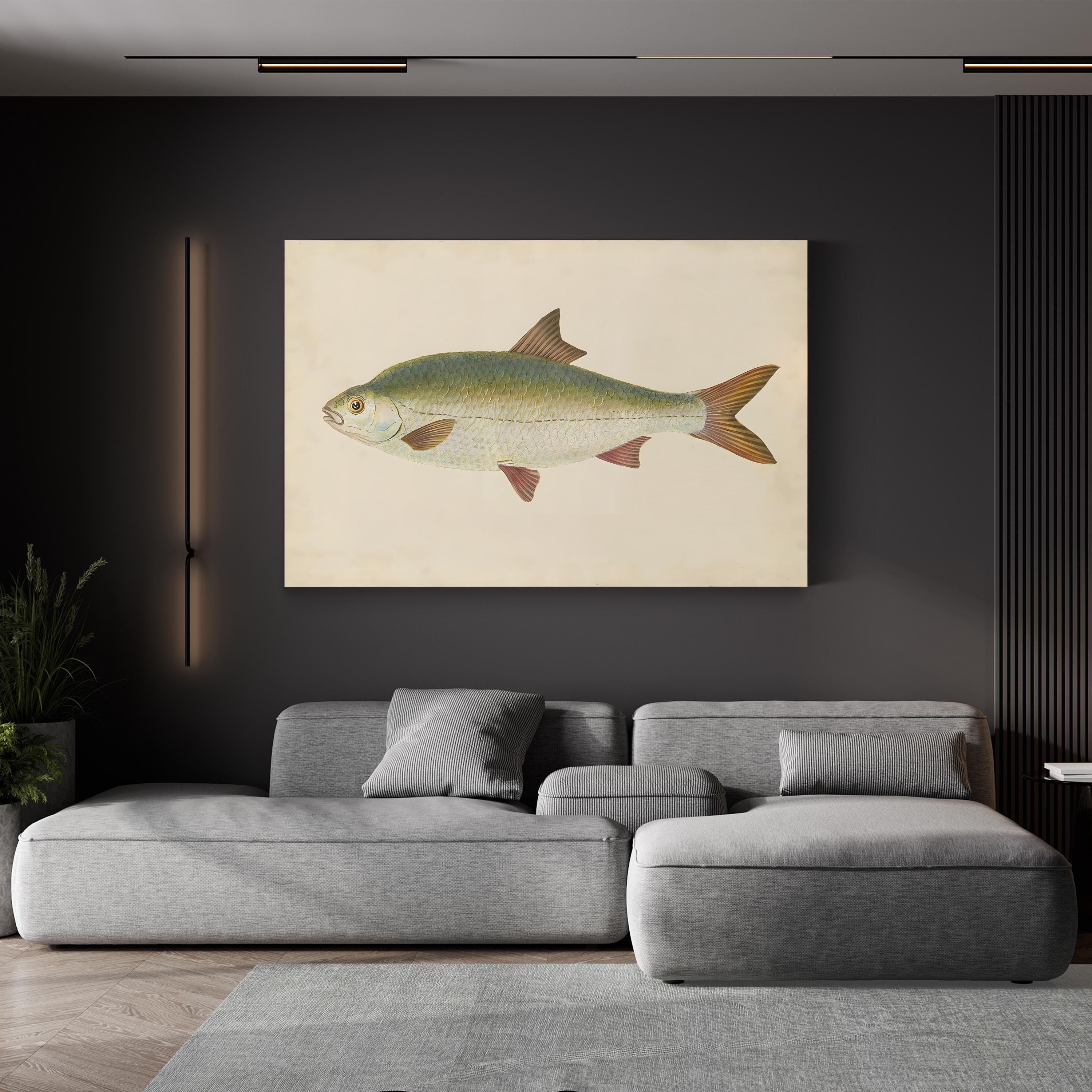 Antique Freshwater Fish Study – Donovan Wall Art | Scientific Illustration Canvas Print