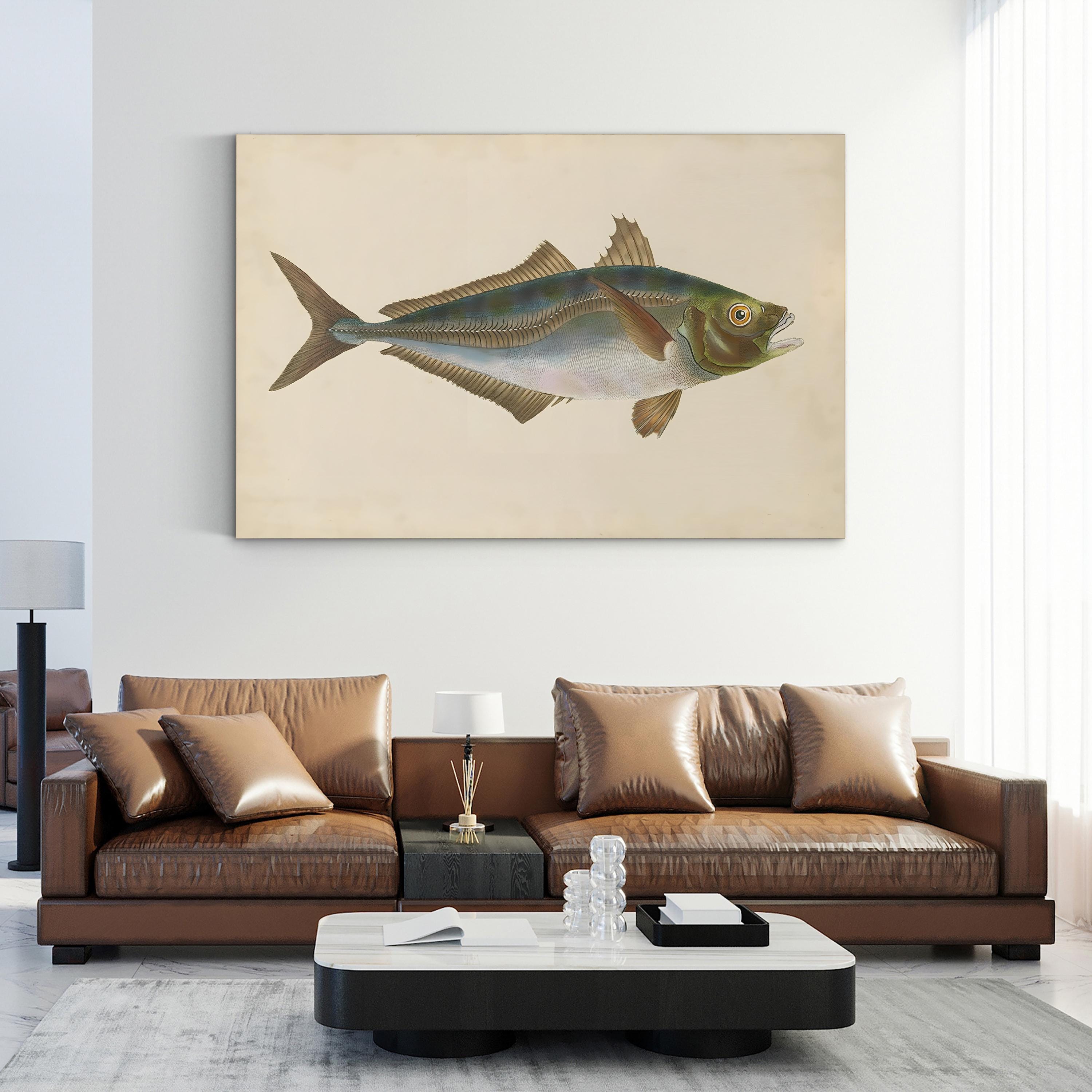 19th-Century Marine Fish Study – Donovan Wall Art | Naturalist Illustration Canvas Print