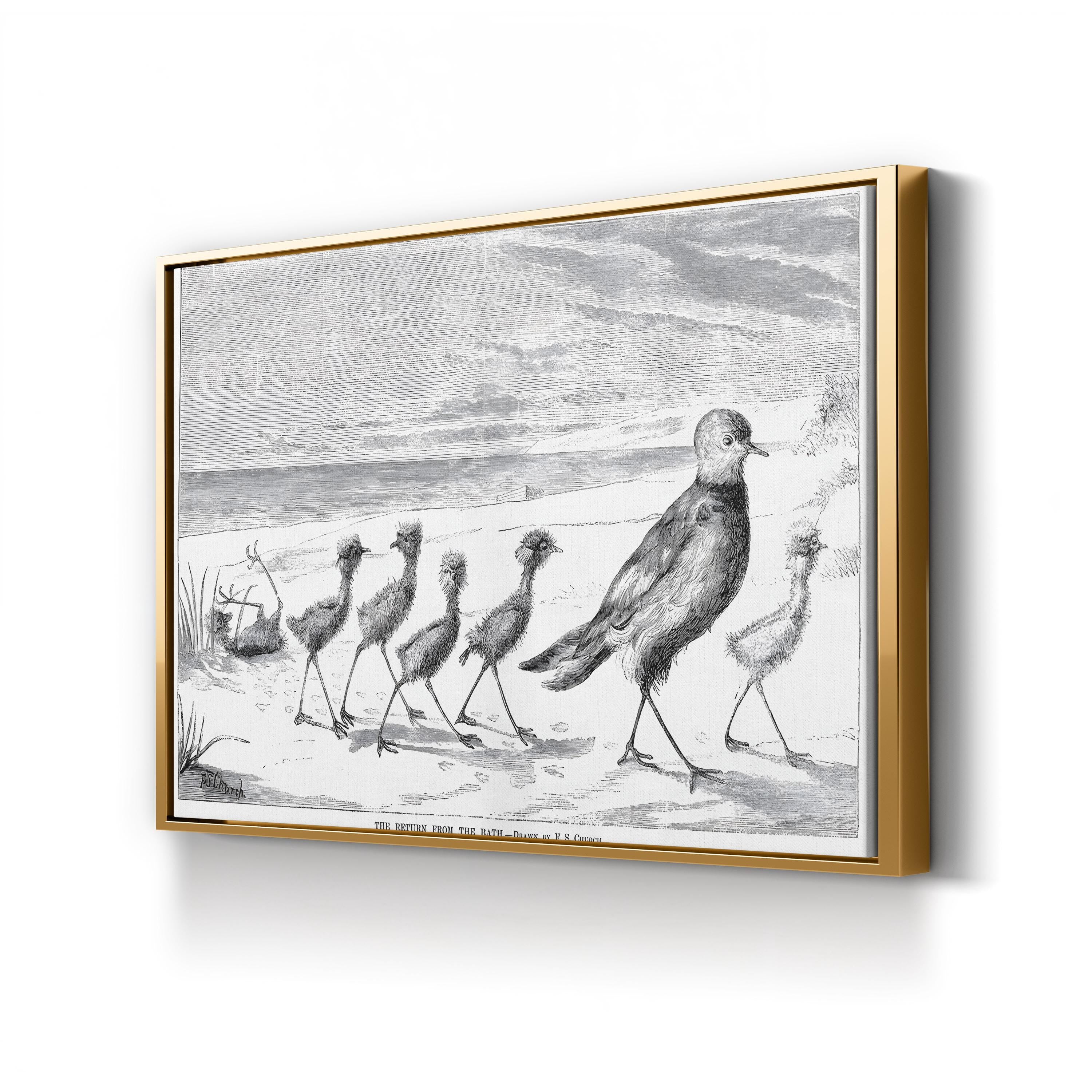 Vintage Bird Family Canvas Art Print: 1879 Engraved Nature Illustration