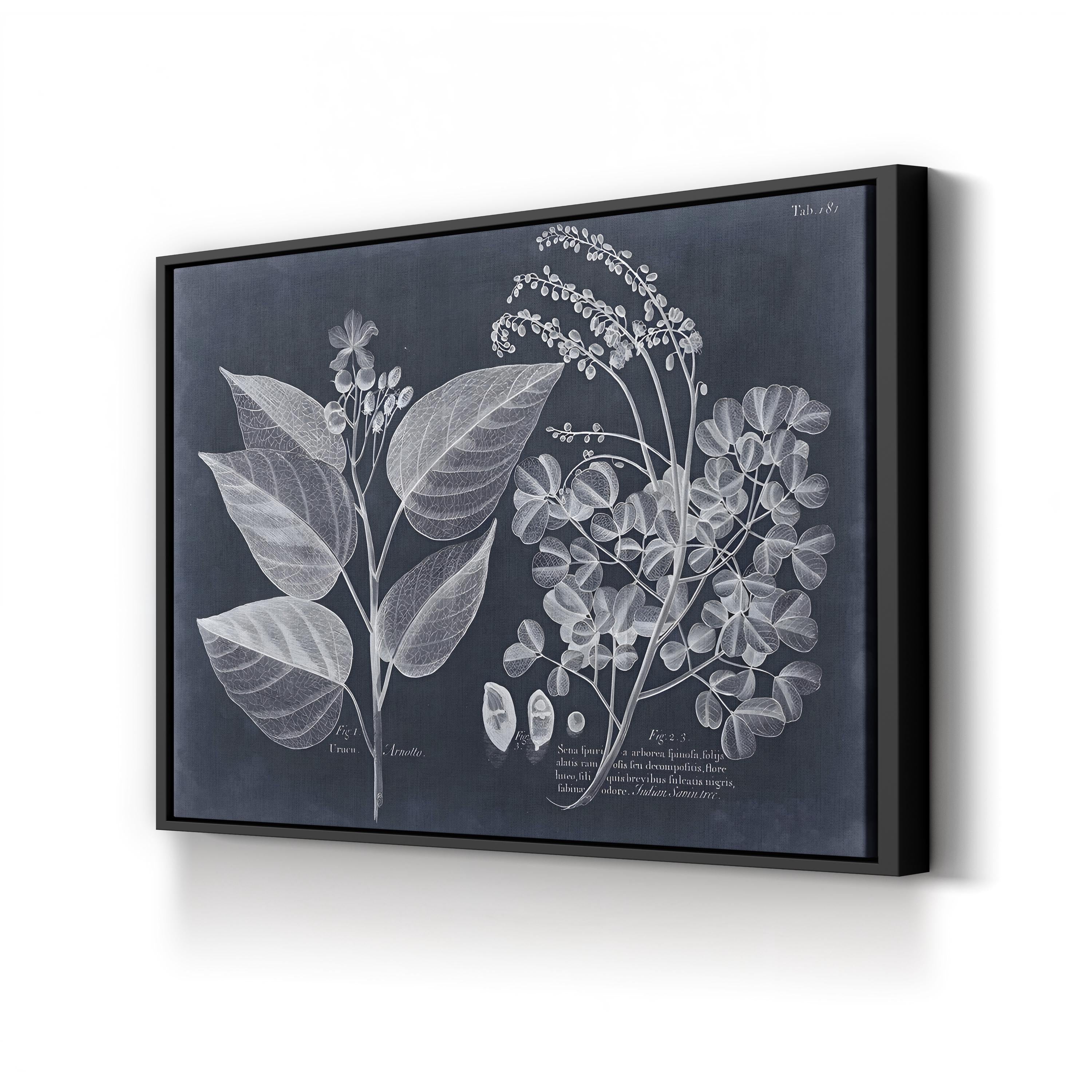 Foliage on Navy III Wall Art — Vision Studio Vintage Botanical Illustration