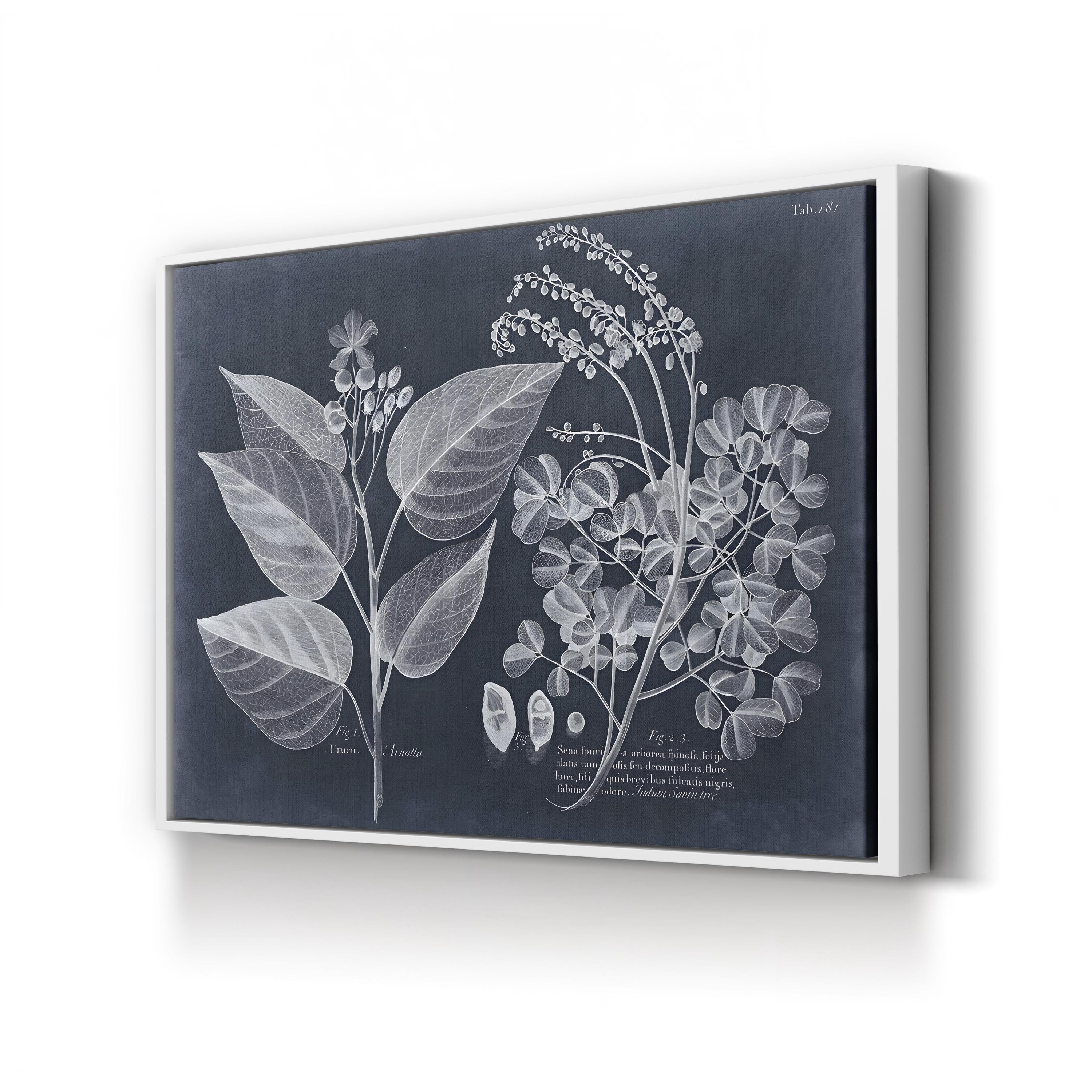Foliage on Navy III Wall Art — Vision Studio Vintage Botanical Illustration