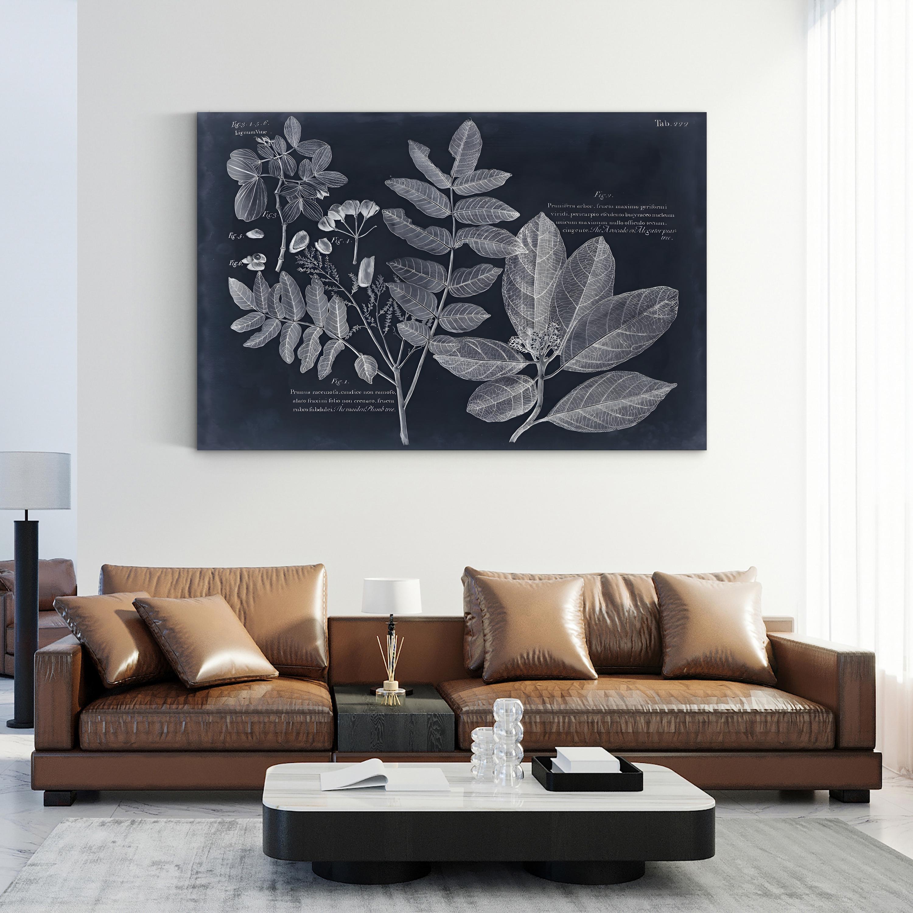 Foliage on Navy V Wall Art — Vision Studio Vintage Botanical Illustration