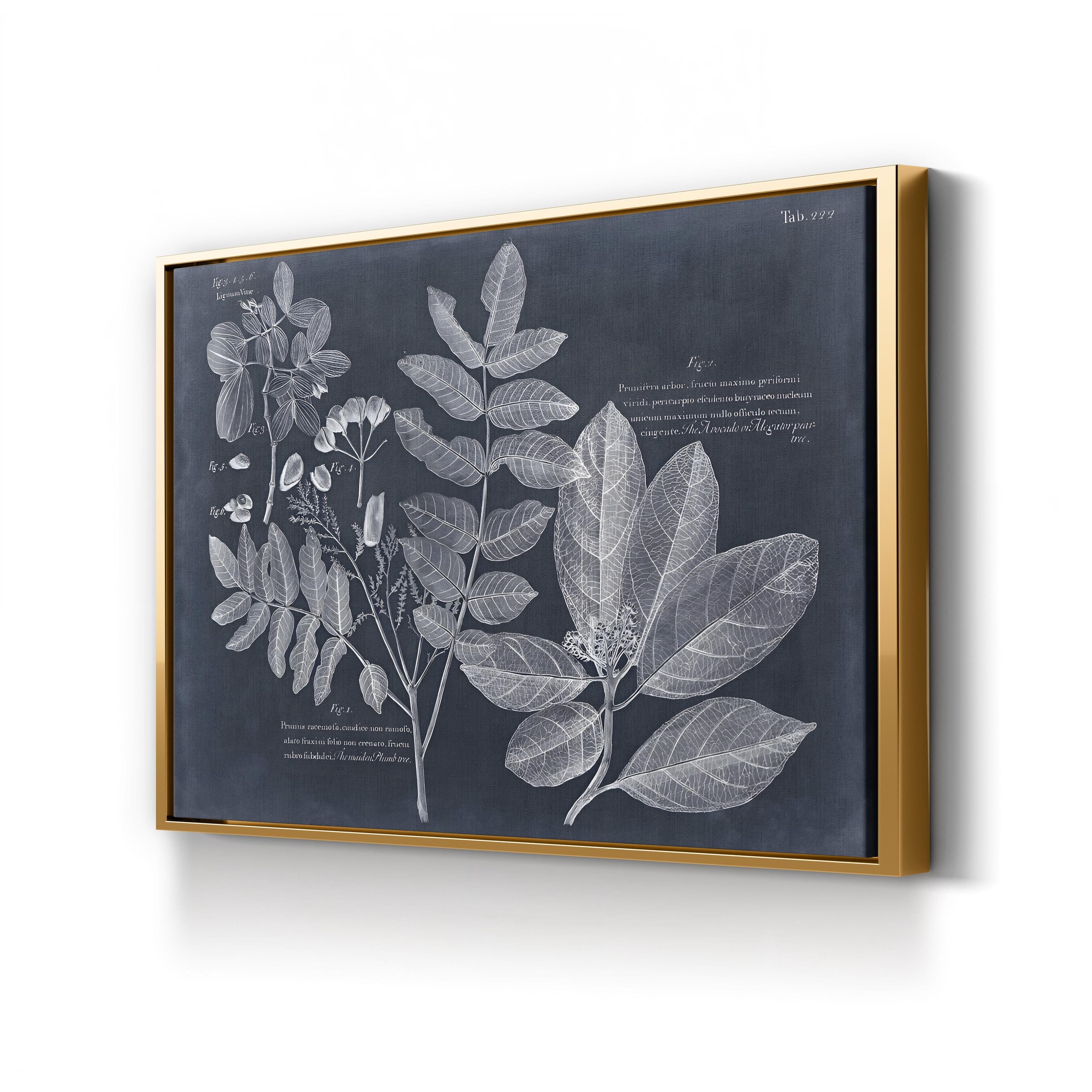 Foliage on Navy V Wall Art — Vision Studio Vintage Botanical Illustration