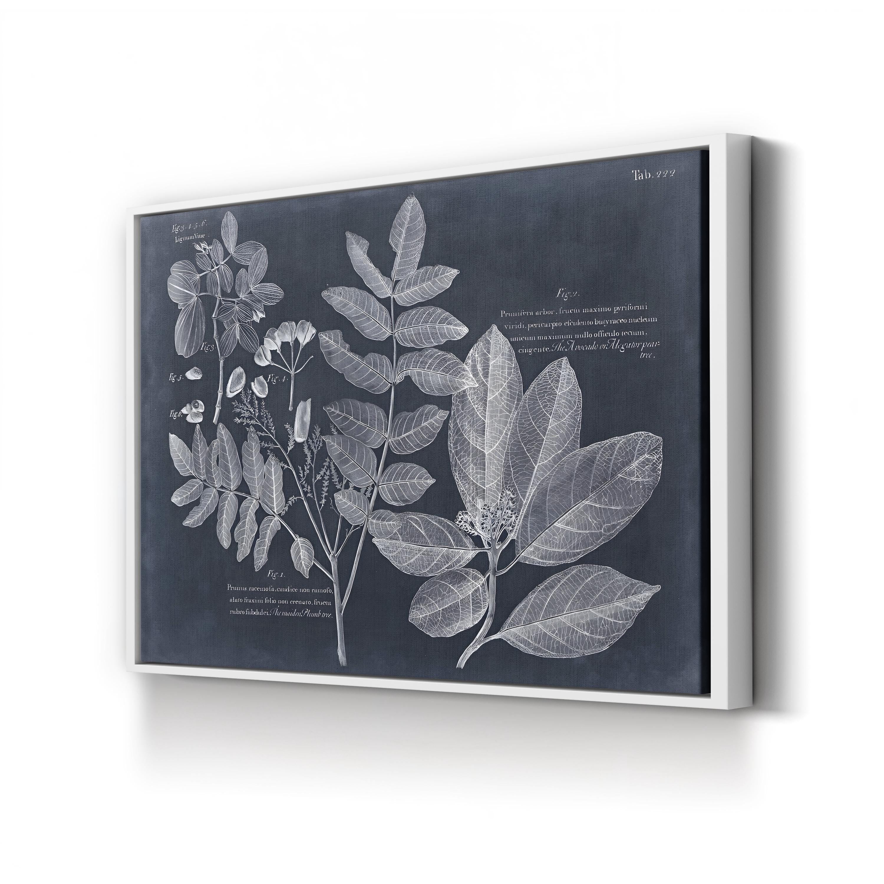 Foliage on Navy V Wall Art — Vision Studio Vintage Botanical Illustration