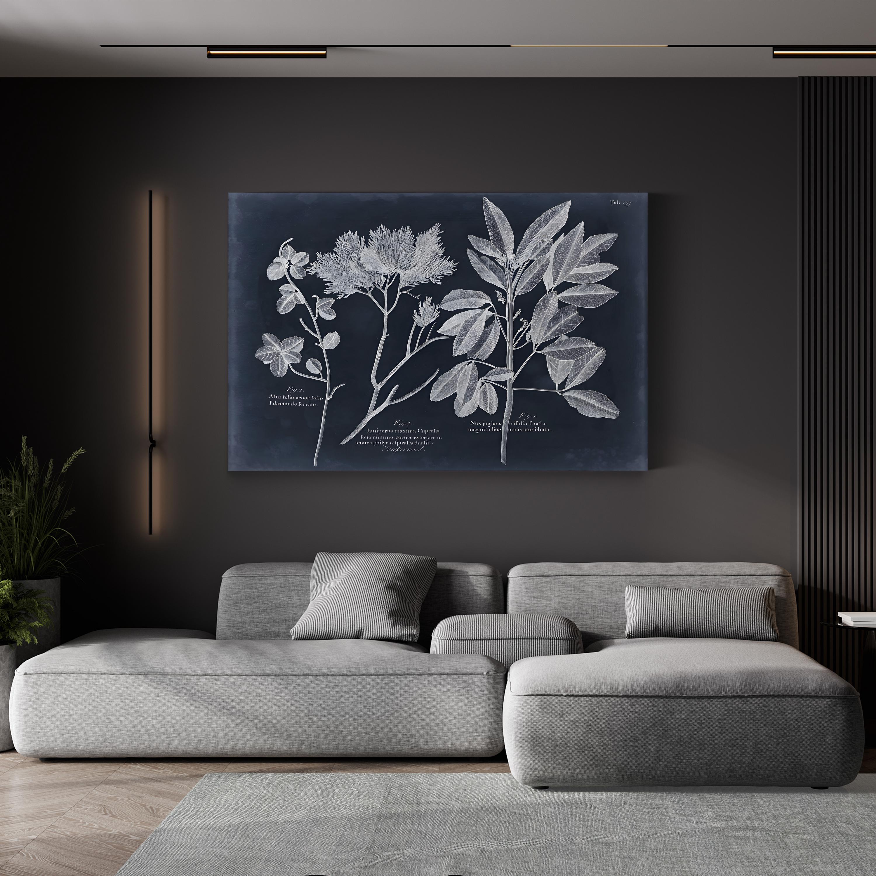 Foliage on Navy VI Wall Art — Vision Studio Vintage Botanical Illustration