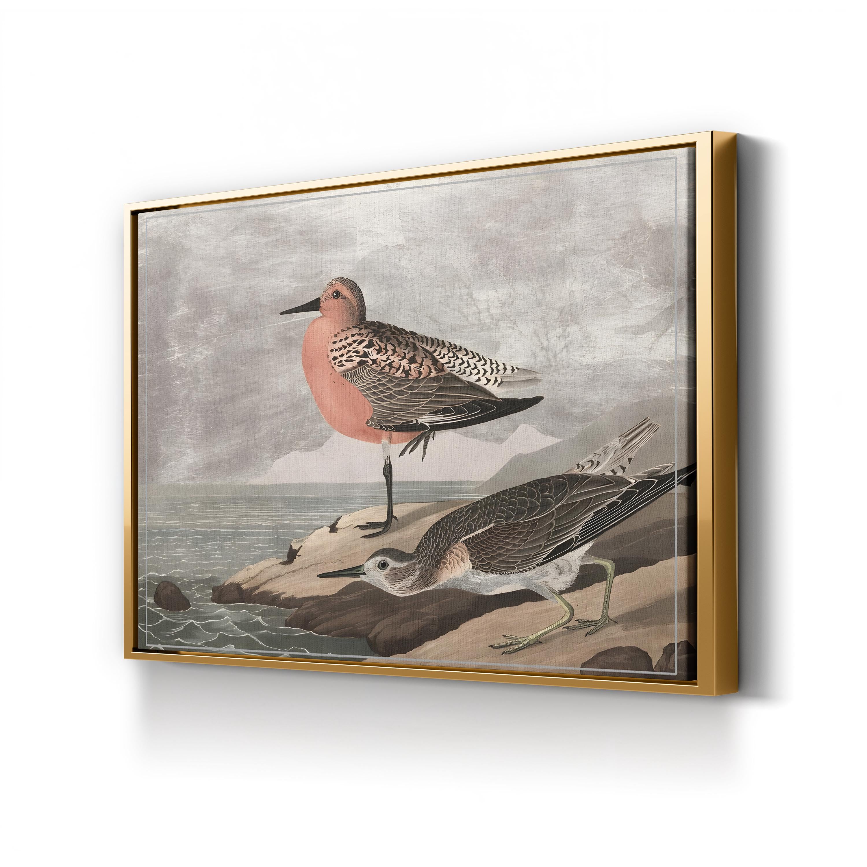 Gilded Sandpipers Canvas Art Print: Vintage Coastal Bird Illustration