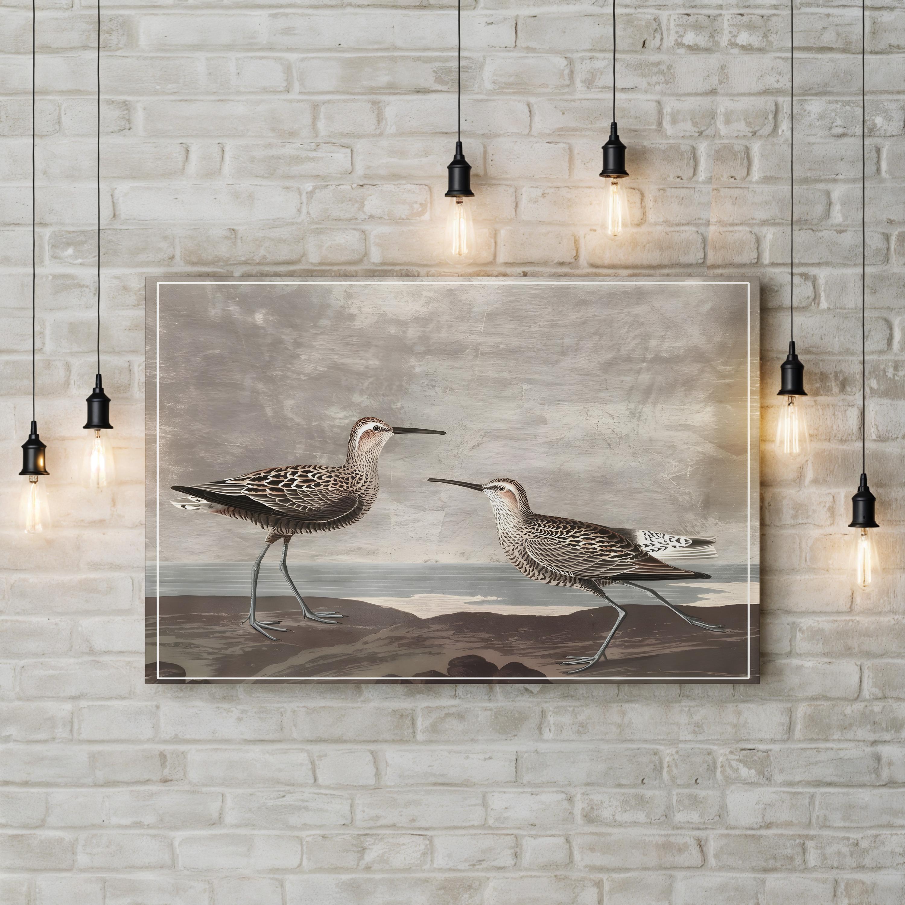 Gilded Sandpipers on the Shore – Period Illustration Wall Art | Beach House Canvas Print
