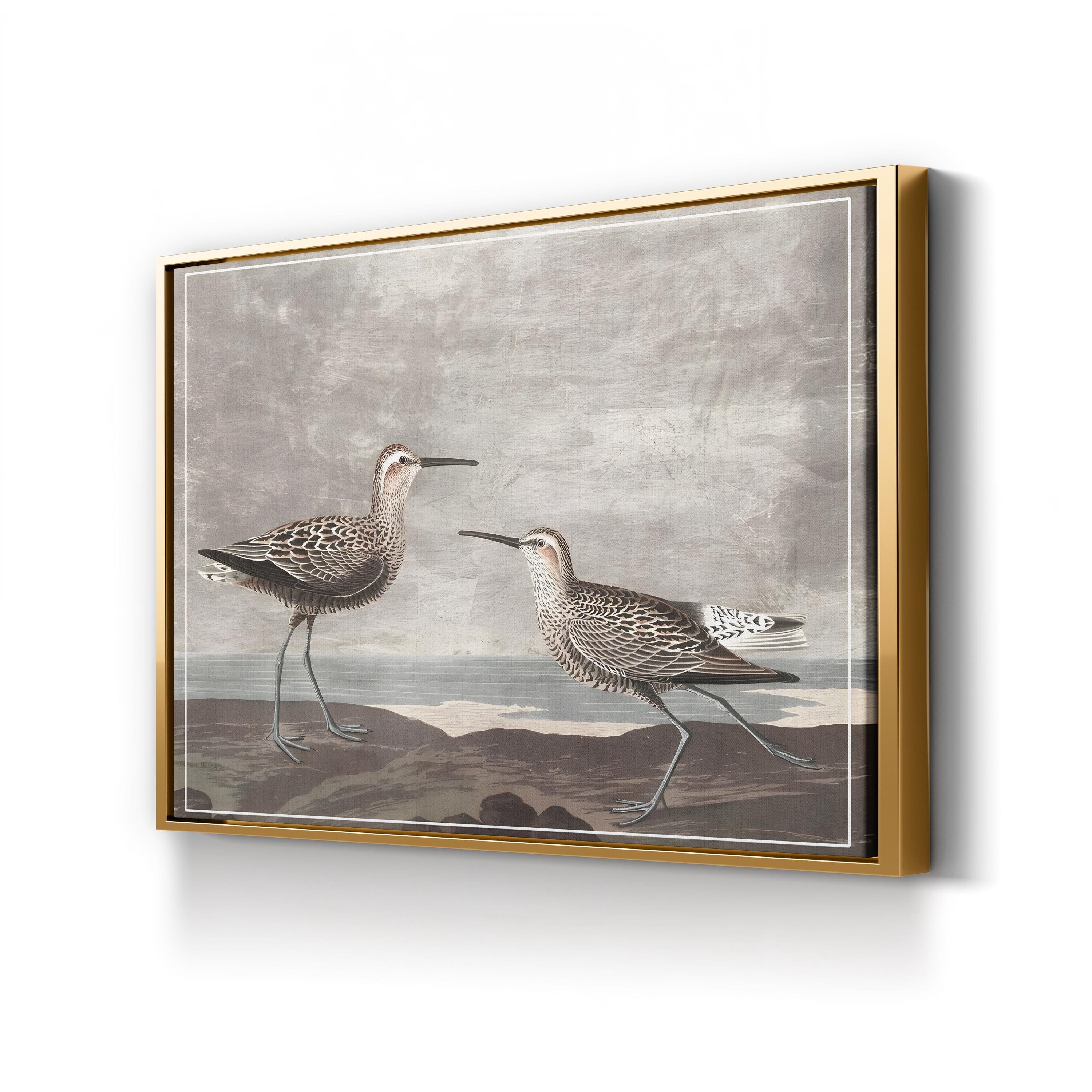 Curved-Bill Shorebirds on the Shore canvas print in Gold frame