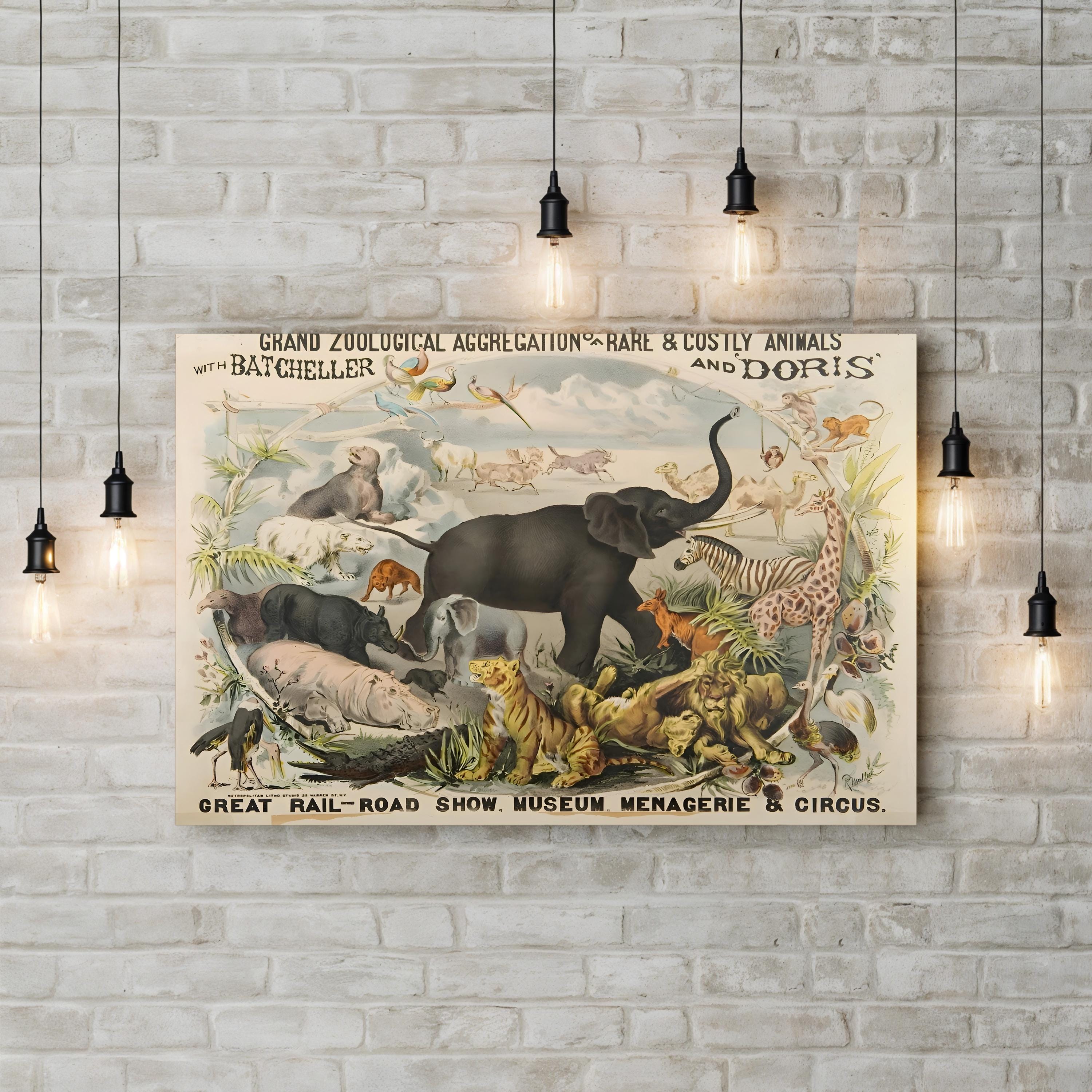 Vintage Zoological Animals – Period Illustration Wall Art | Museum Canvas Print