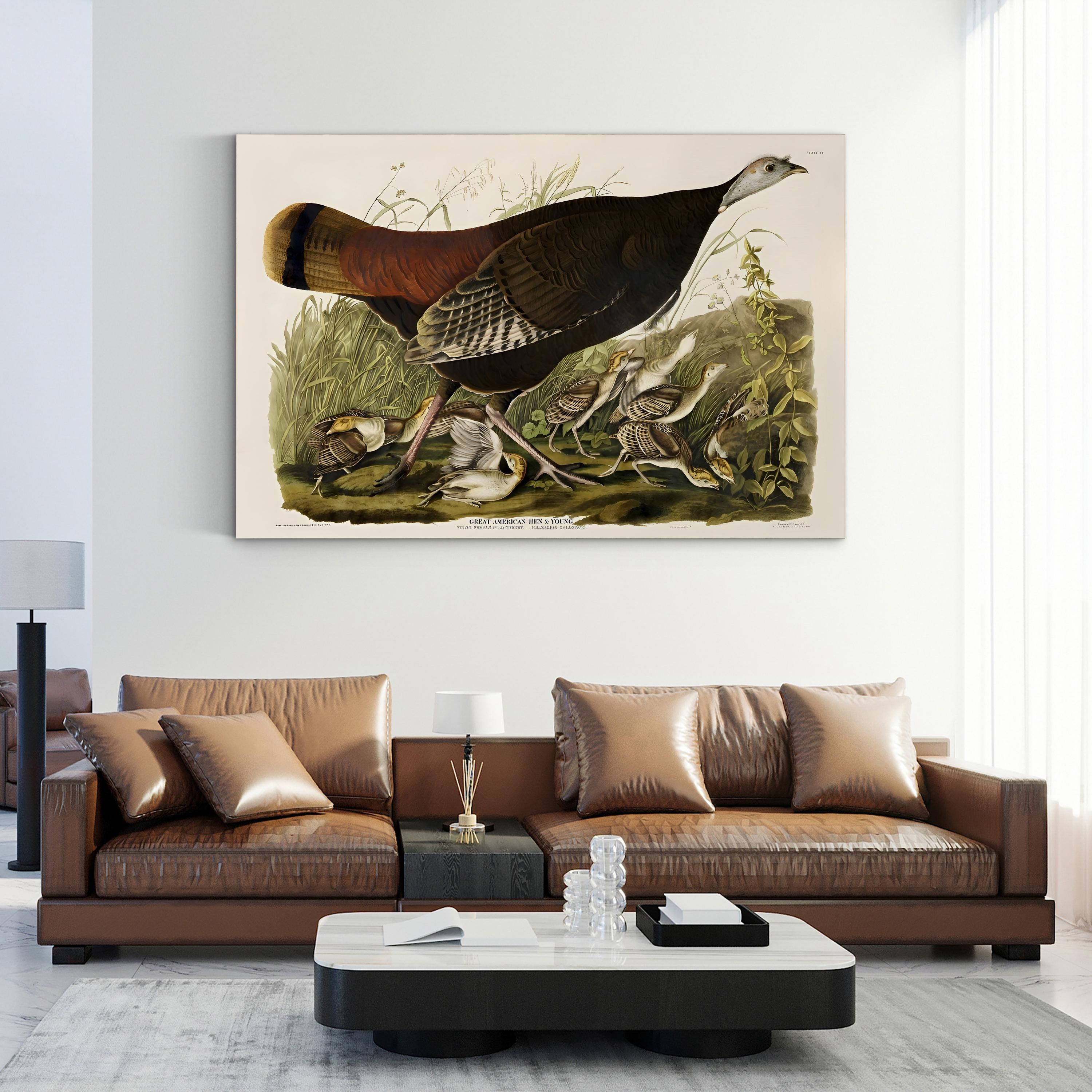 Vintage American Pheasant – Period Illustration Wall Art | Wildlife Canvas Print