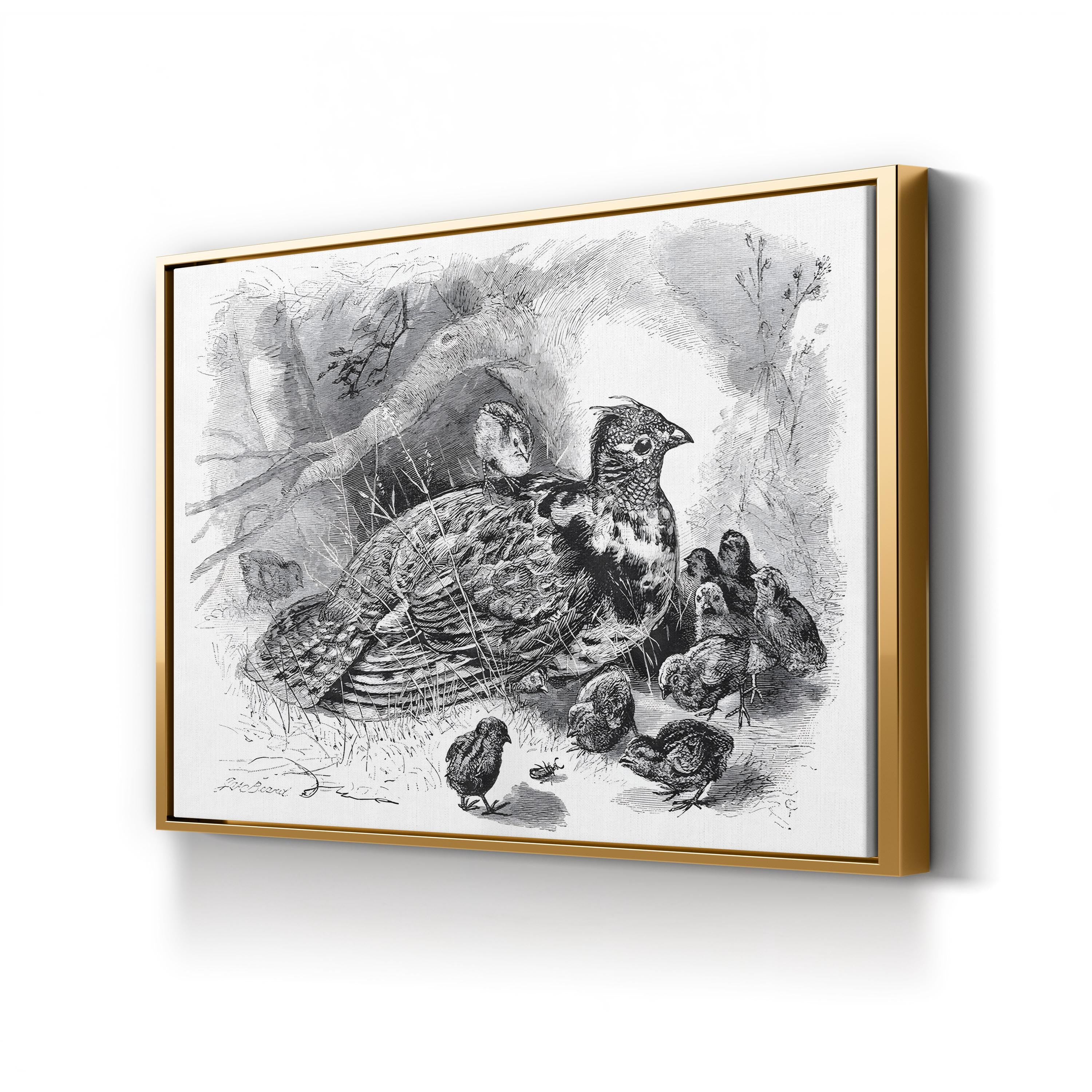 Grouse and Young – Framed Vintage Wildlife Engraving Canvas Art by James Carter Beard