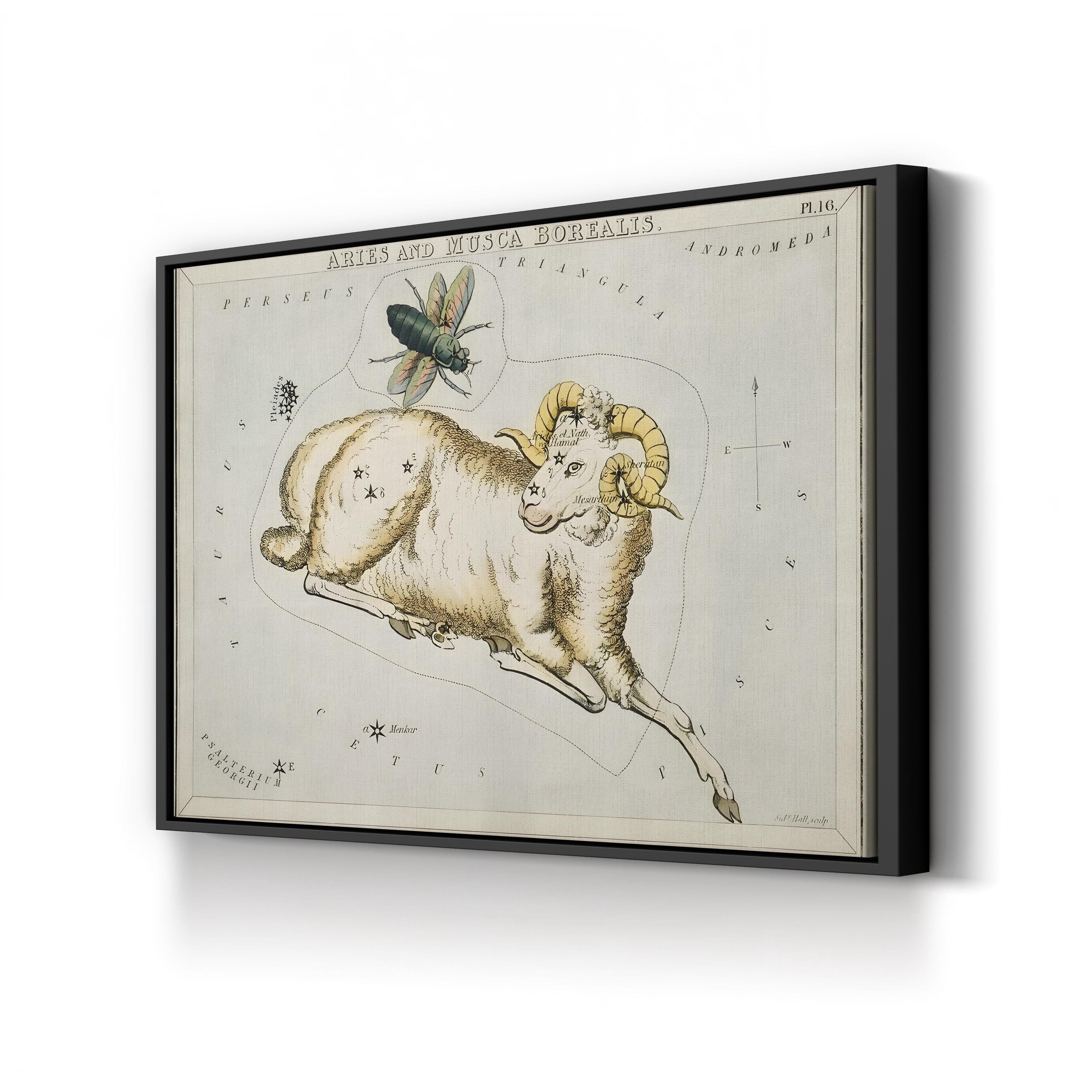 Hall’s Astronomical Illustrations I Wall Art – Aries & Musca Borealis Vintage Star Map Print