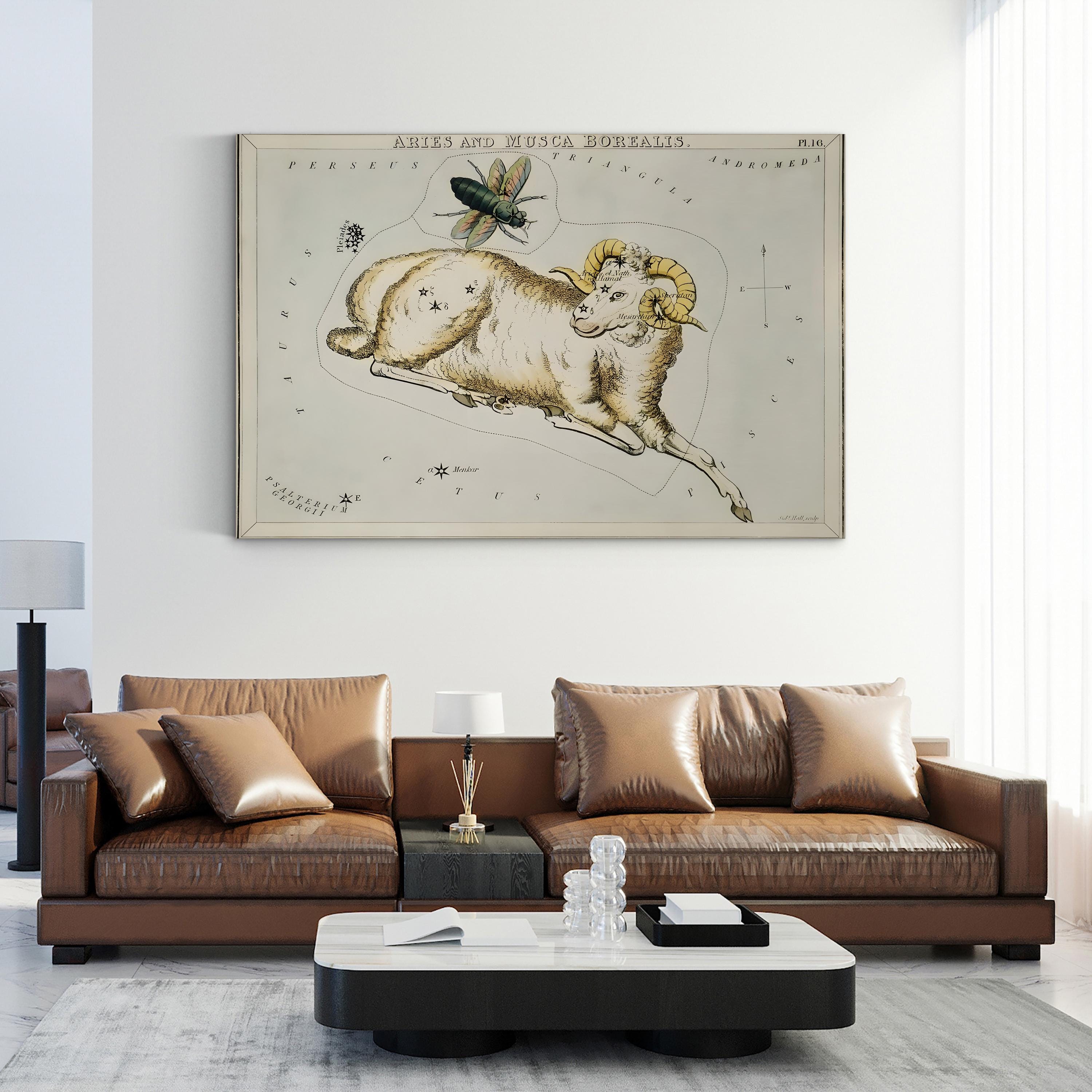 Hall’s Astronomical Illustrations I Wall Art – Aries & Musca Borealis Vintage Star Map Print