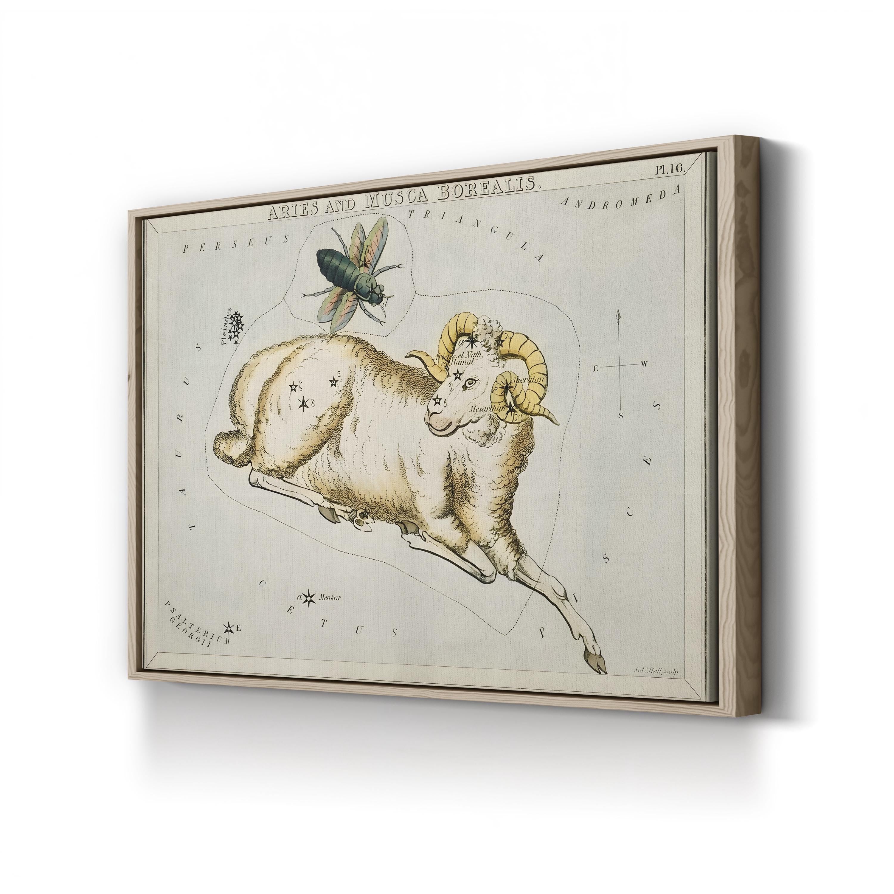 Hall’s Astronomical Illustrations I Wall Art – Aries & Musca Borealis Vintage Star Map Print