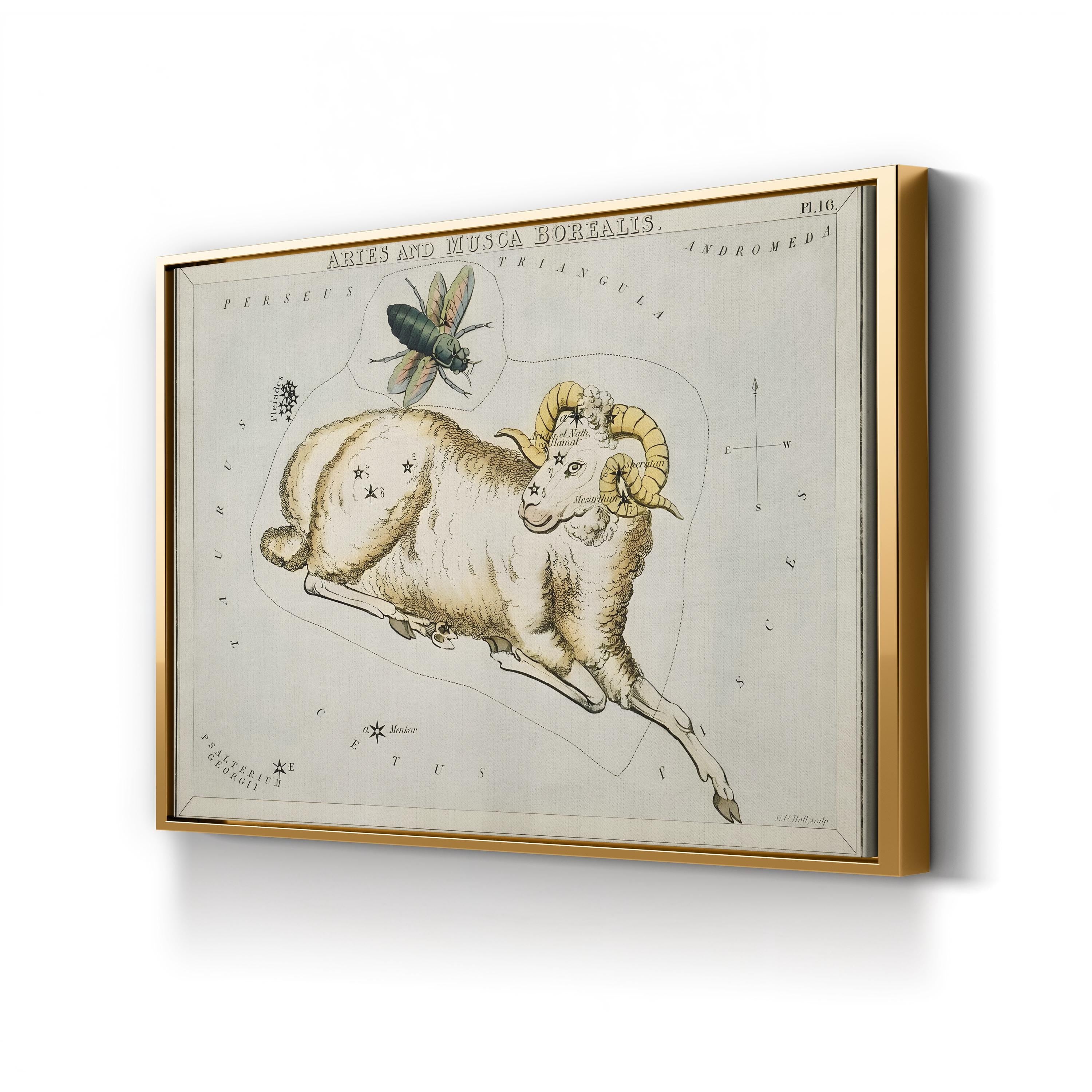 Hall’s Astronomical Illustrations I Wall Art – Aries & Musca Borealis Vintage Star Map Print