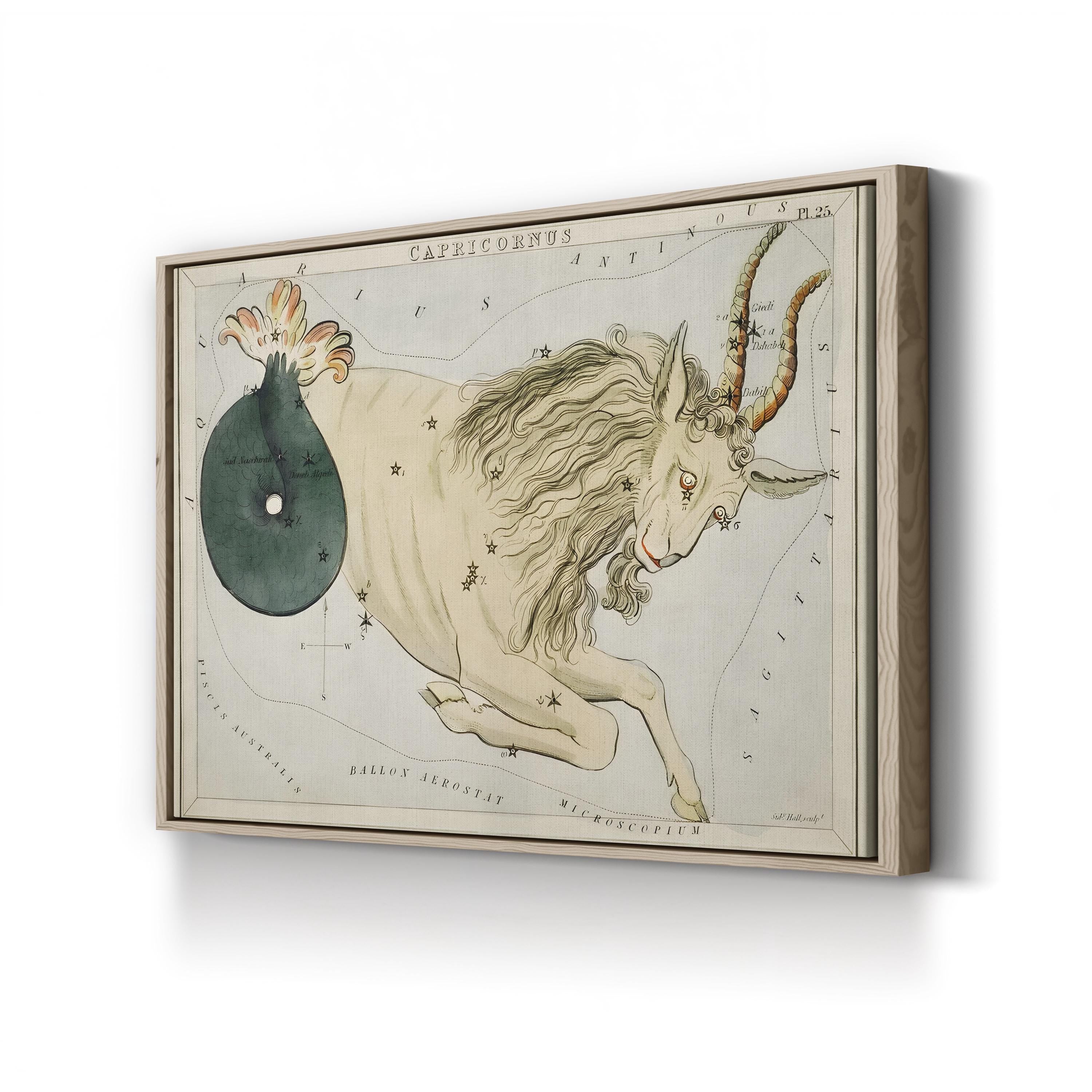 Hall’s Astronomical Illustrations VIII Wall Art by Sidney Hall – Capricorn Star Map Vintage Astrology Canvas Print